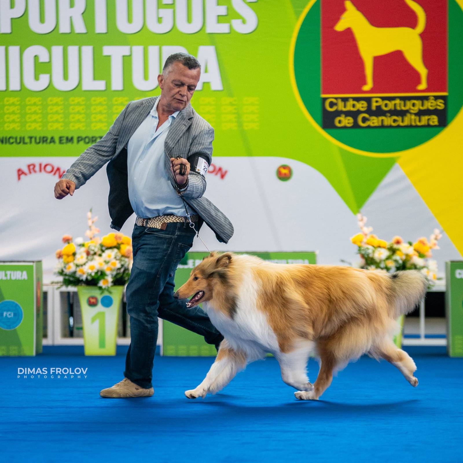 dogs Aveiro Dog Show 2025. บาทต่อภาพ 129728 (2025-07-20 13:03:05)