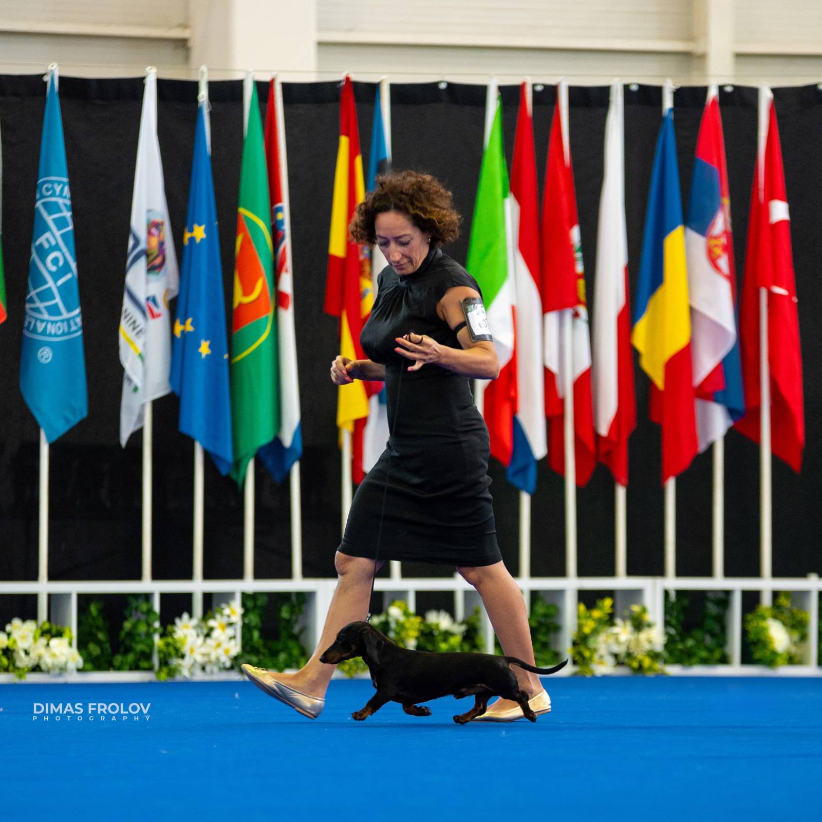 dogs Aveiro Dog Show 2025. บาทต่อภาพ 129727 (2025-07-20 13:03:05)