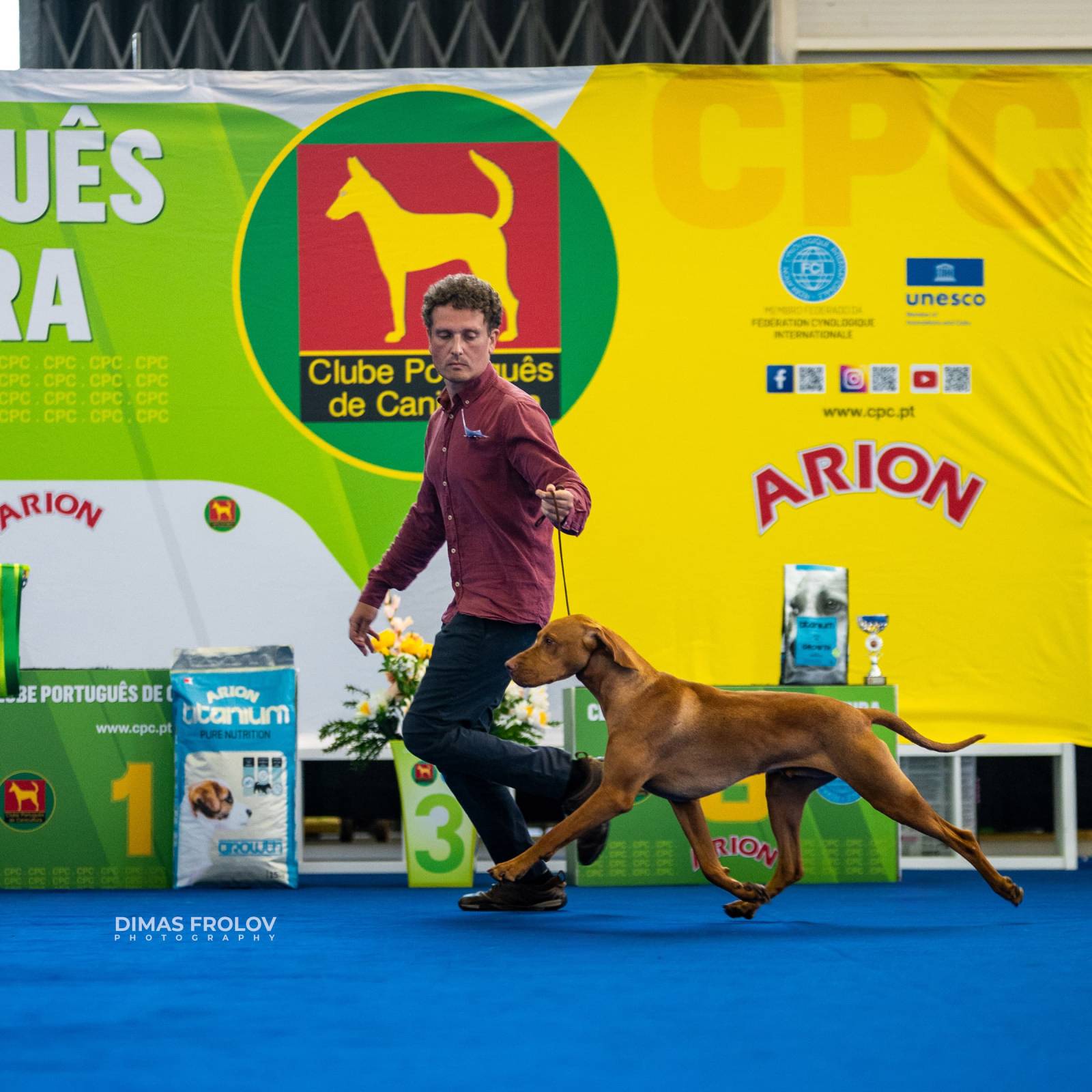 dogs Aveiro Dog Show 2025. บาทต่อภาพ 129721 (2025-07-20 13:03:05)