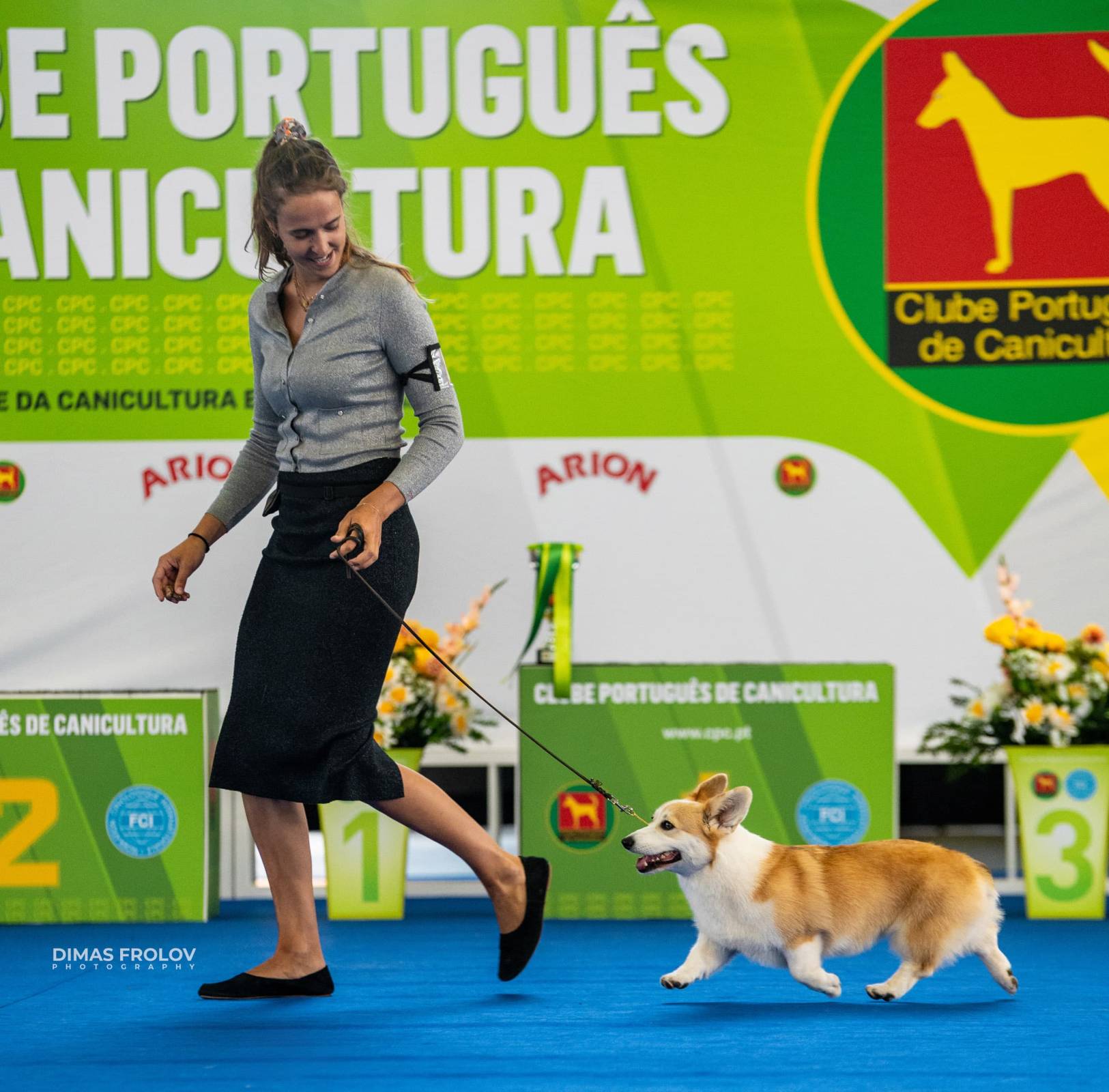 dogs Aveiro Dog Show 2025. บาทต่อภาพ 129683 (2025-07-20 13:03:02)