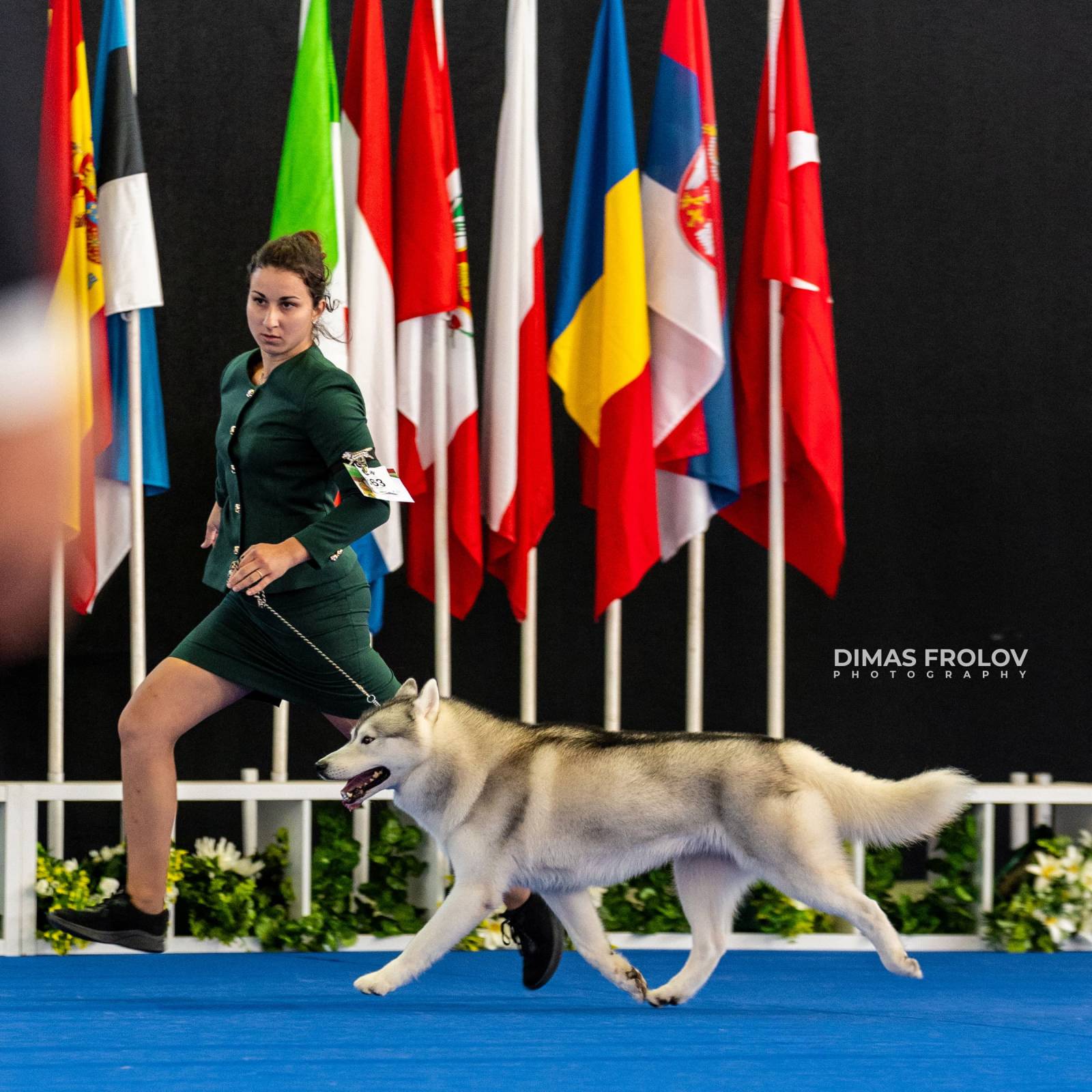dogs Aveiro Dog Show 2025. บาทต่อภาพ 129693 (2025-07-20 13:03:03)