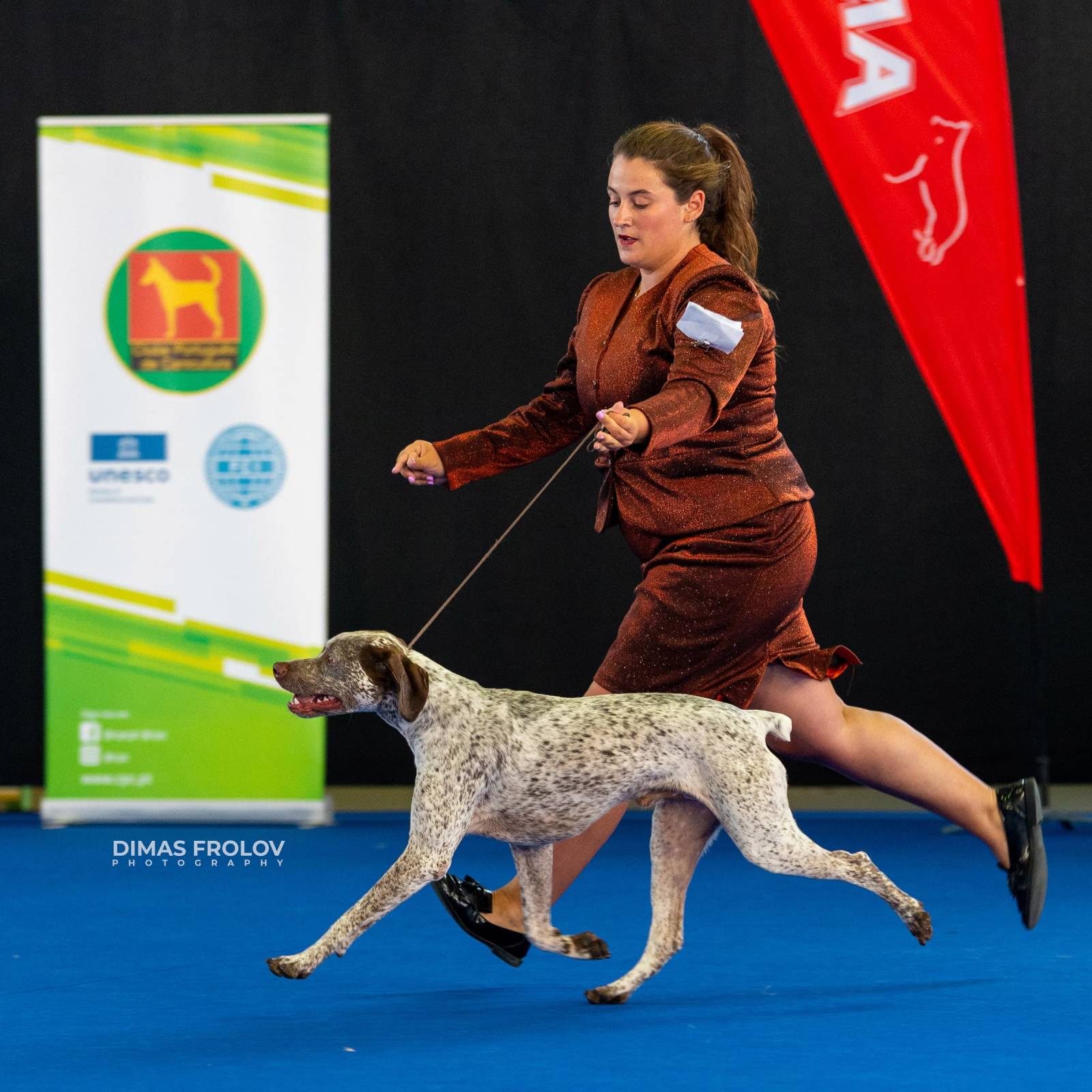 dogs Aveiro Dog Show 2025. บาทต่อภาพ 129691 (2025-07-20 13:03:03)