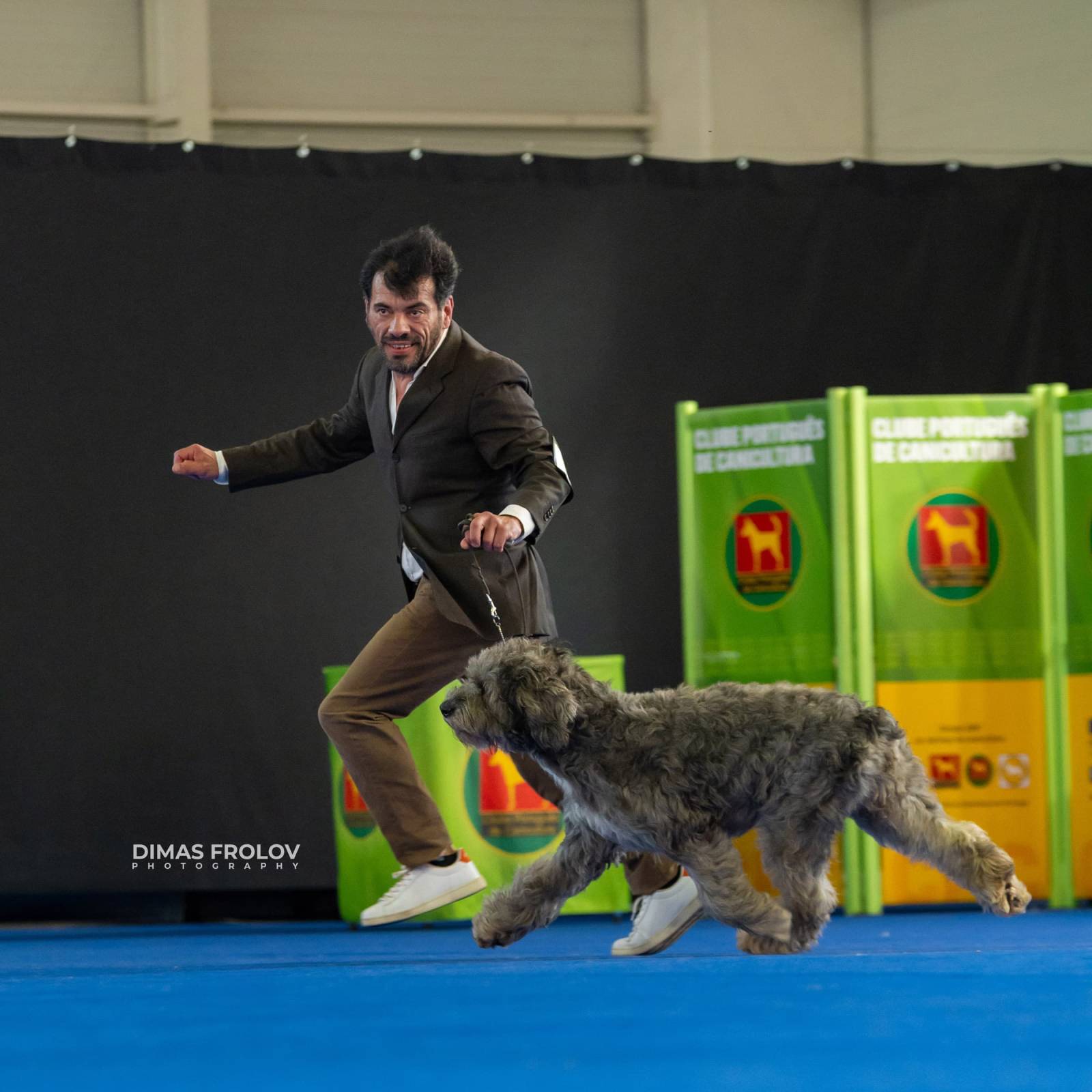 dogs Aveiro Dog Show 2025. บาทต่อภาพ 129685 (2025-07-20 13:03:02)