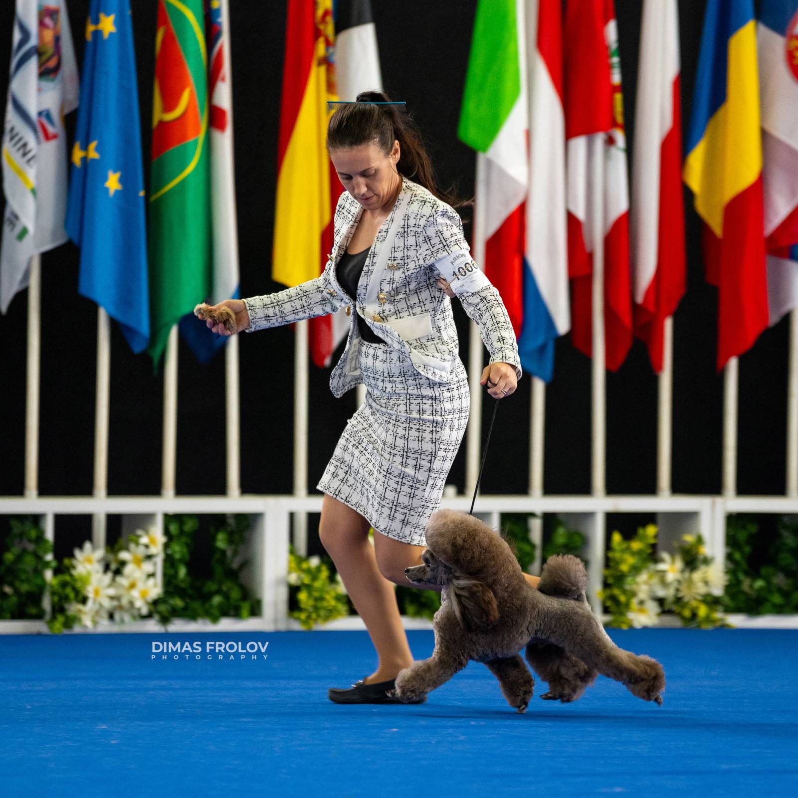 dogs Aveiro Dog Show 2025. บาทต่อภาพ 129642 (2025-07-20 13:02:59)