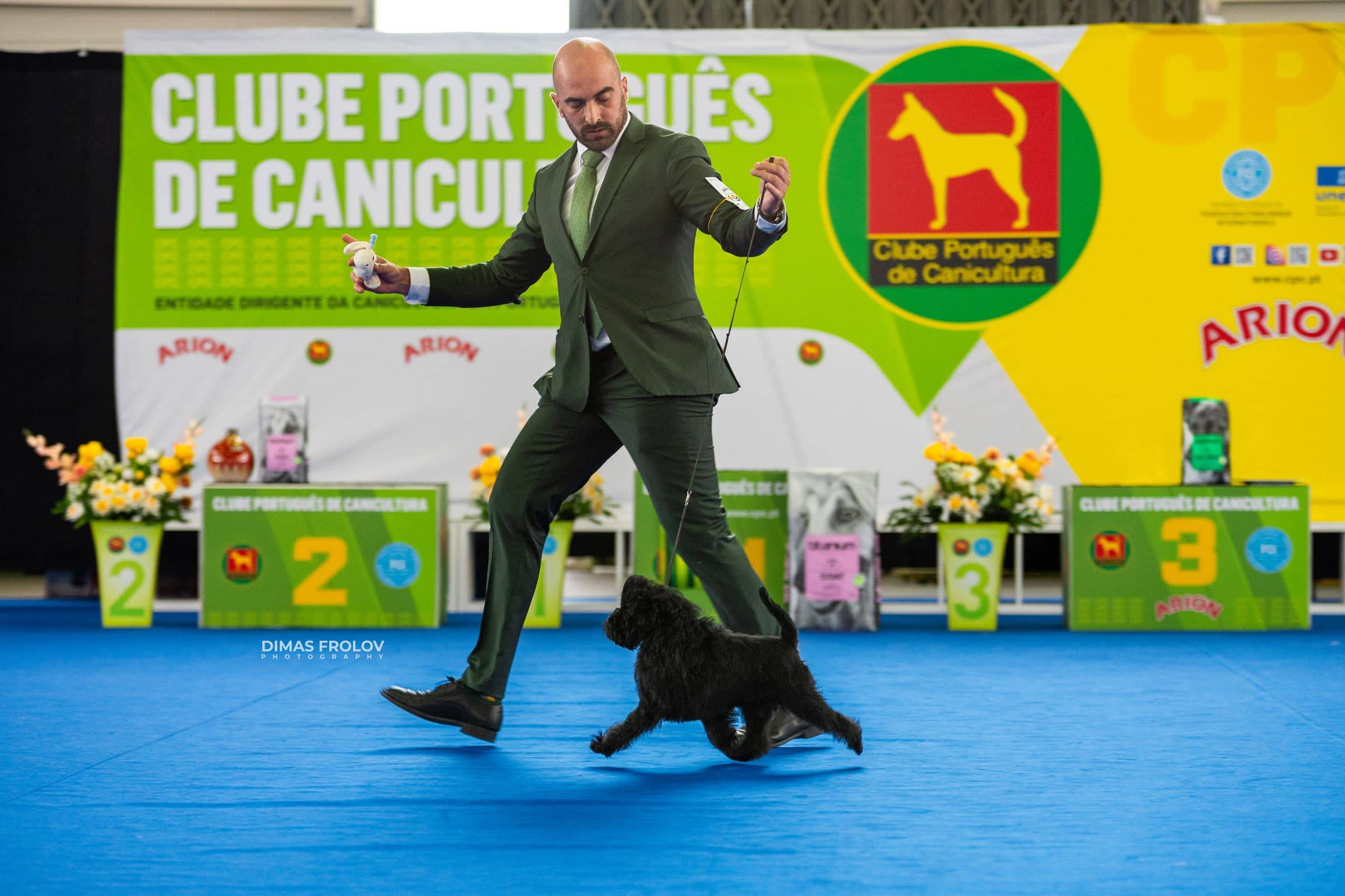 dogs Aveiro Dog Show 2025. บาทต่อภาพ 129650 (2025-07-20 13:03:00)