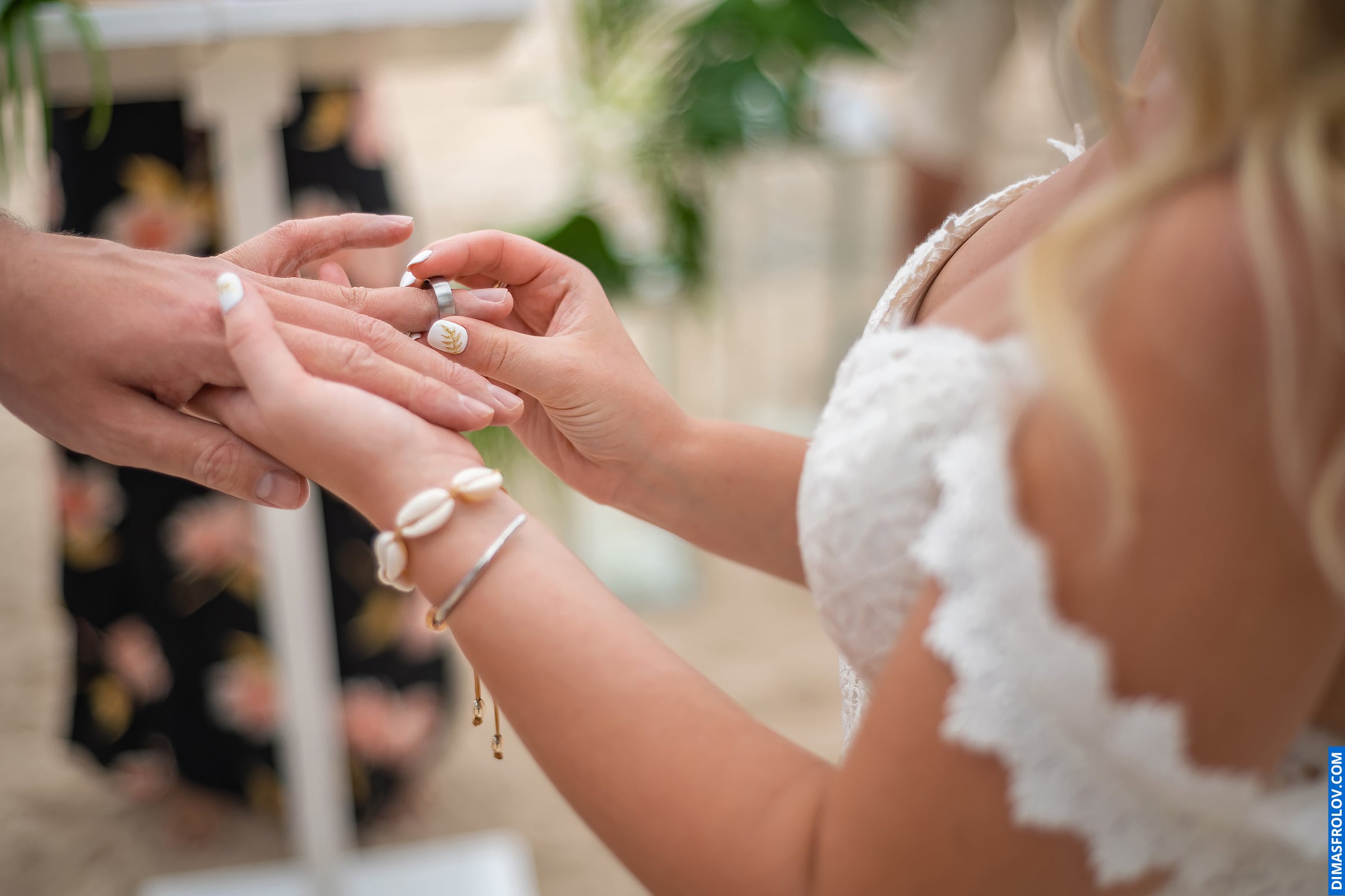 Weddings Wedding Photography. Lisa & Scott. photo 74426 (2023-05-03 22:02:06)