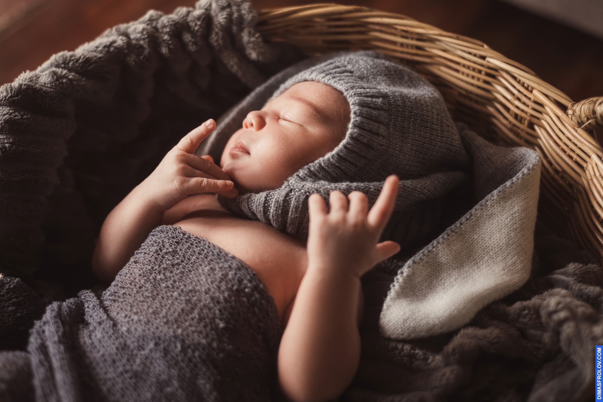 maternity Baby Tao. photo 108112 (2023-05-03 22:12:48)