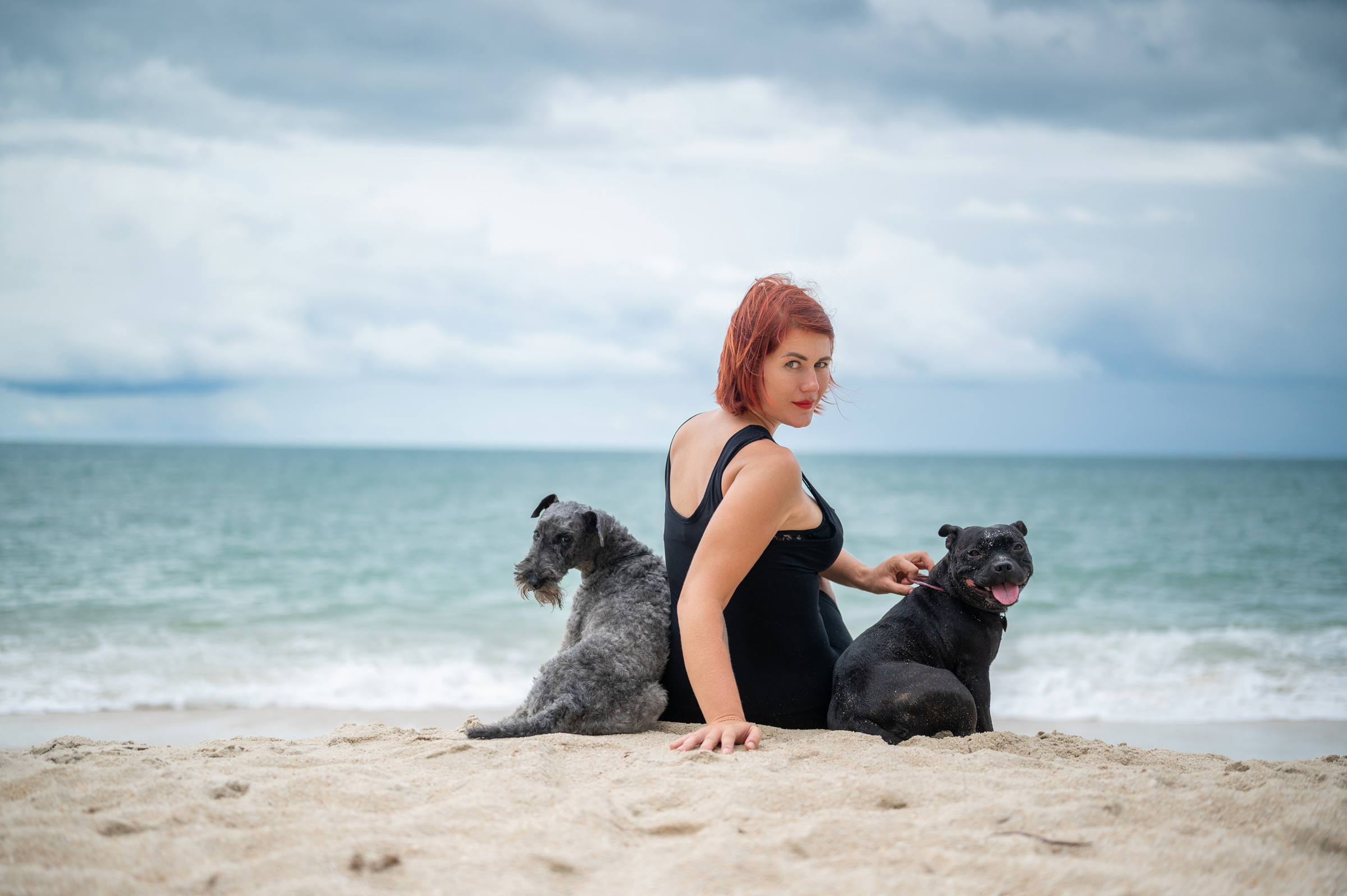 dogs Valeriia @EasyDogMe with Stuffy & Kerry Blue terrier. photo 117850 (2023-05-03 22:16:30)