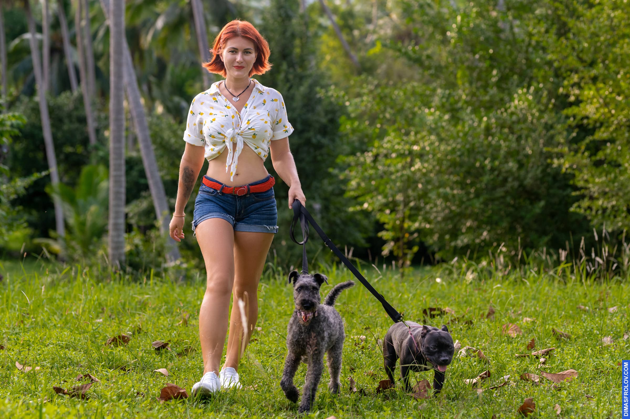 dogs Valeriia @EasyDogMe with Stuffy & Kerry Blue terrier. photo 117878 (2023-05-03 22:16:31)