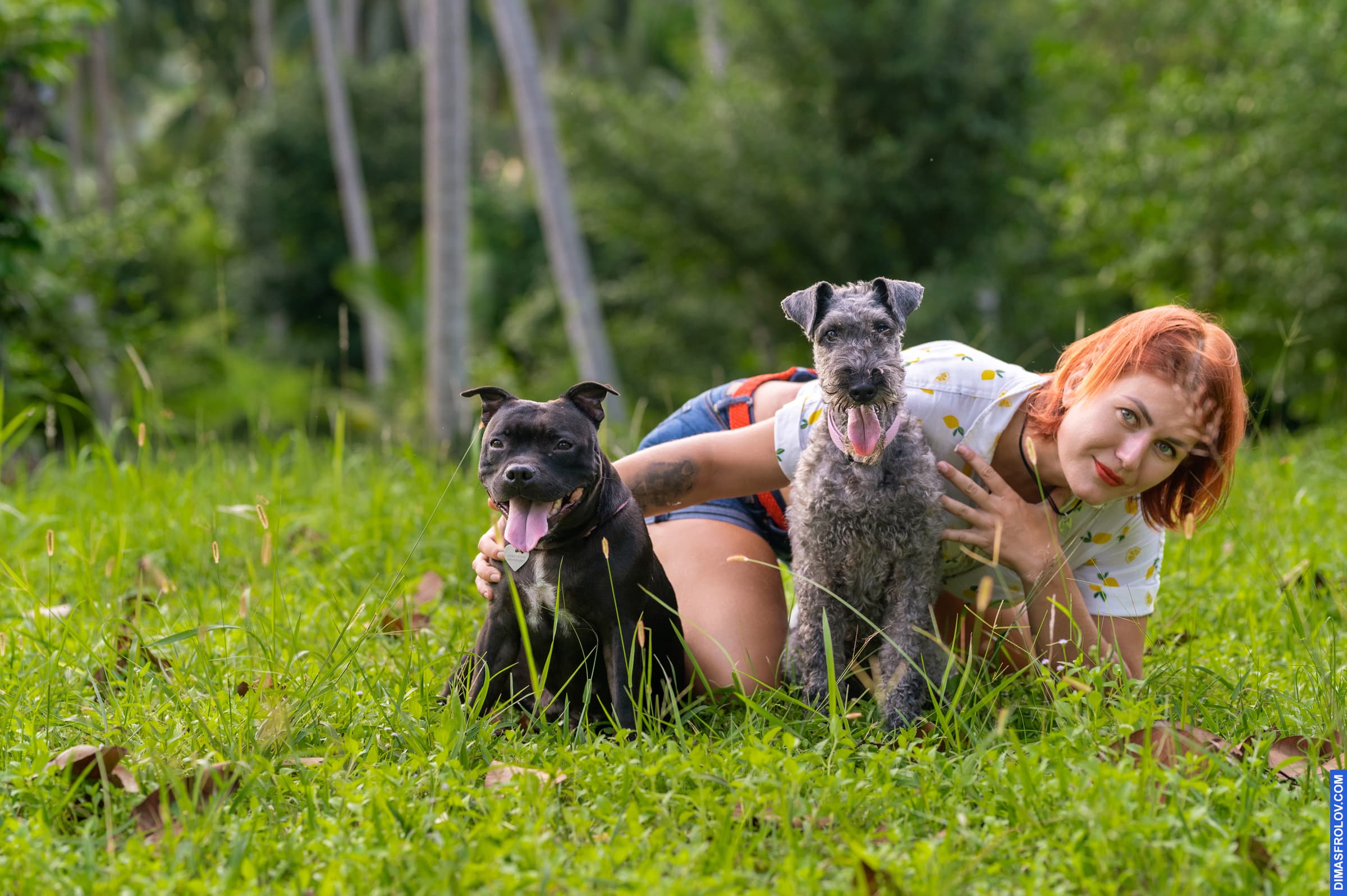 dogs Valeriia @EasyDogMe with Stuffy & Kerry Blue terrier. photo 117881 (2023-05-03 22:16:31)