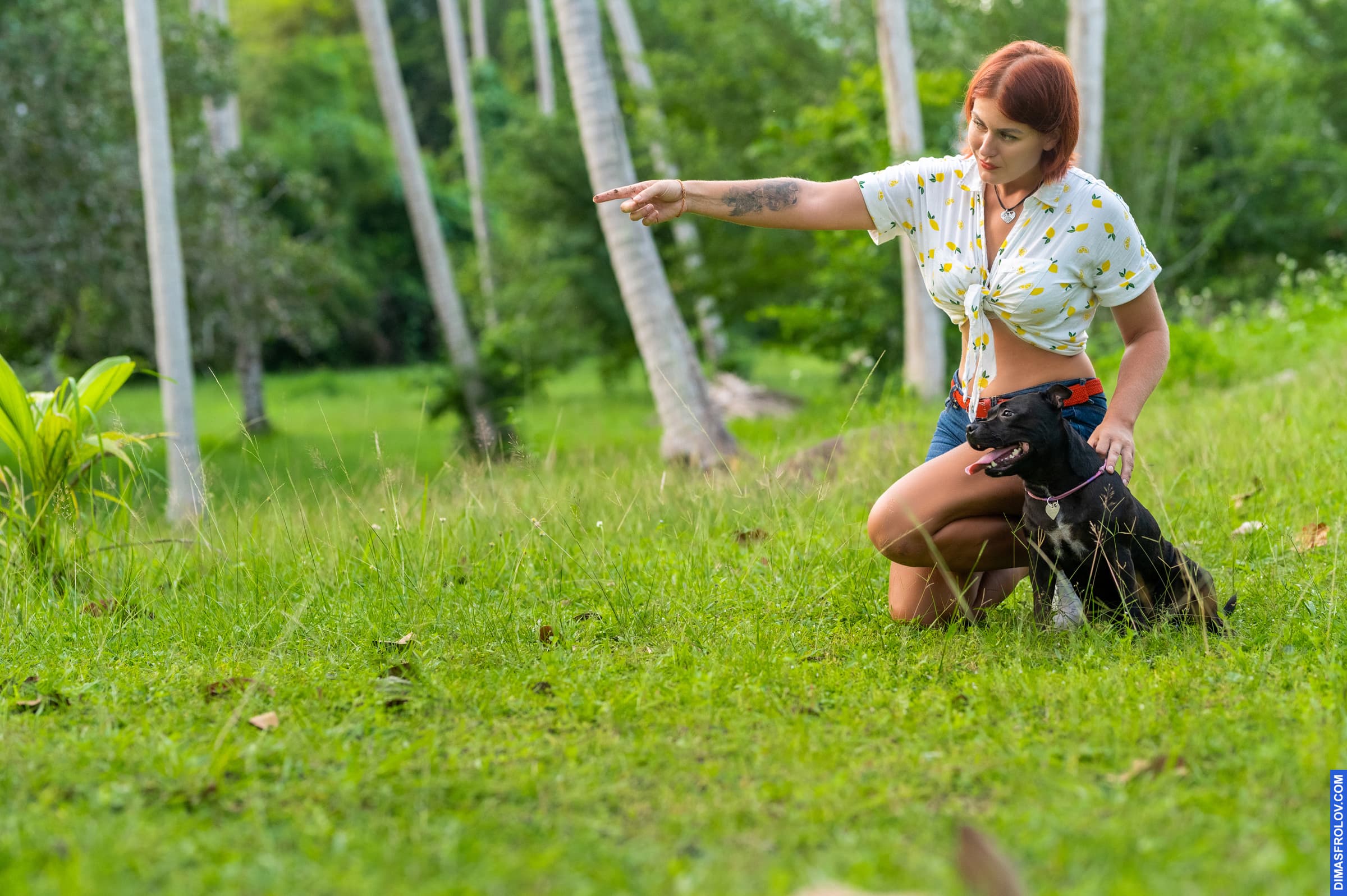 dogs Valeriia @EasyDogMe with Stuffy & Kerry Blue terrier. photo 117919 (2023-05-03 22:16:32)