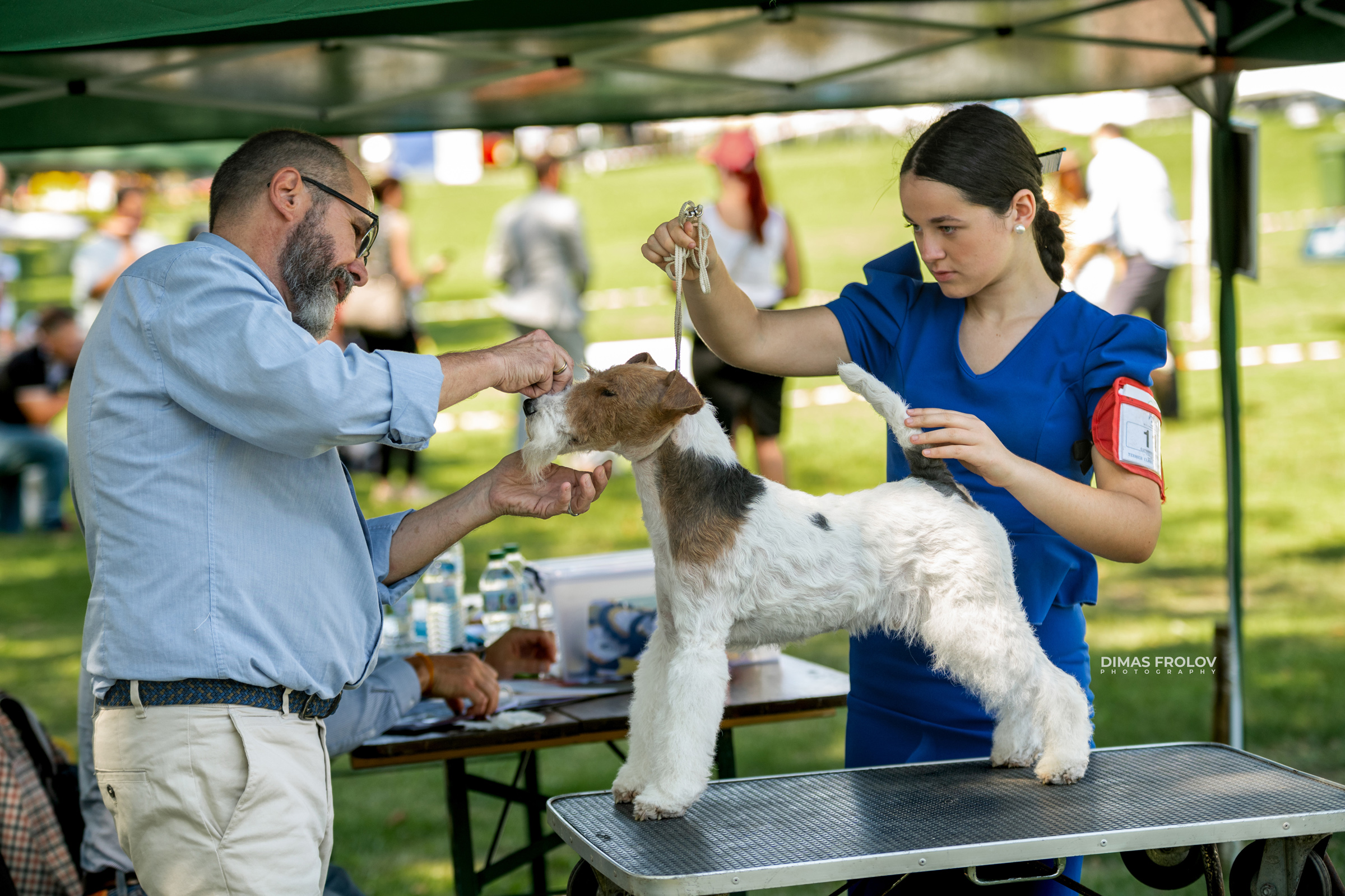 Dog Photographer in Lisbon – 2025 Sintra Dog Shows. Photo 130155 (2025-08-08 21:38:52)