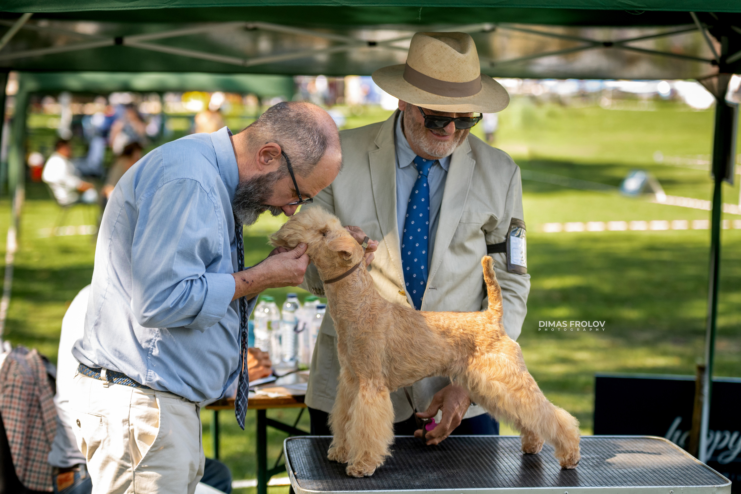 Dog Photographer in Lisbon – 2025 Sintra Dog Shows. Photo 130170 (2025-08-08 21:38:58)