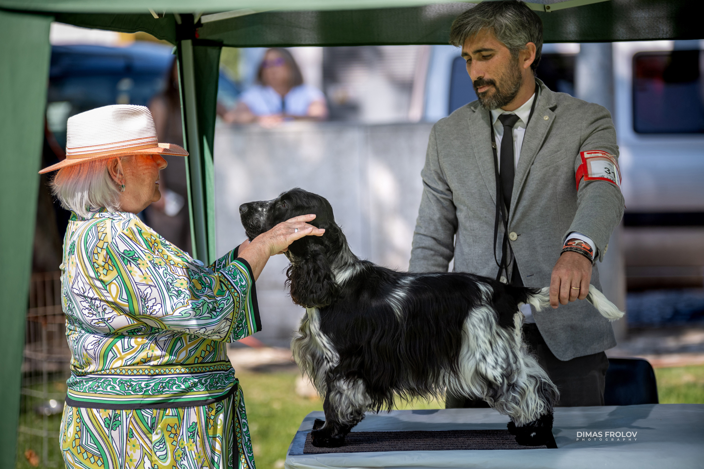 Dog Photographer in Lisbon – 2025 Sintra Dog Shows. Photo 130153 (2025-08-08 21:38:51)