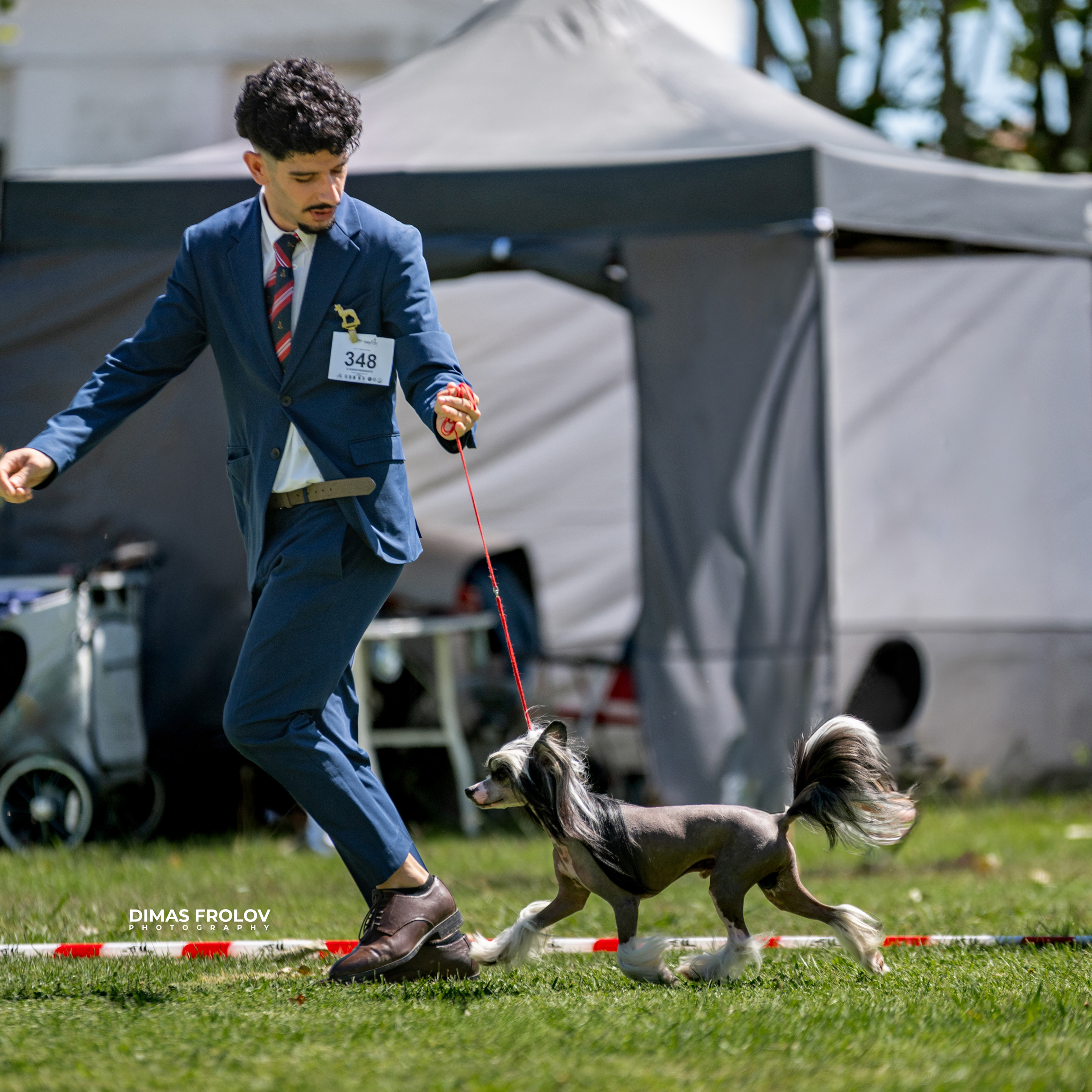 Dog Photographer in Lisbon – 2025 Sintra Dog Shows. Photo 130126 (2025-08-08 21:38:41)