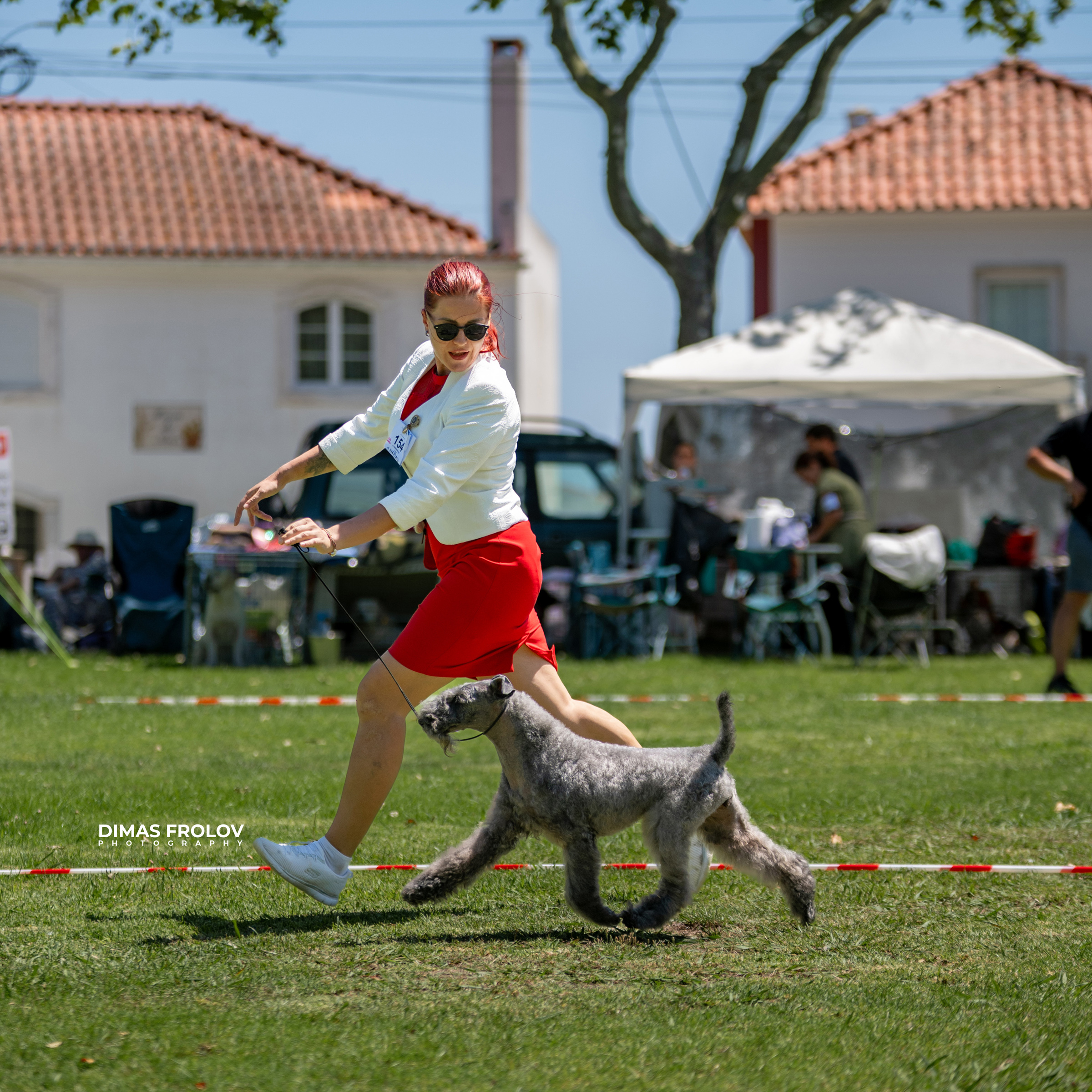 Dog Photographer in Lisbon – 2025 Sintra Dog Shows. Photo 130120 (2025-08-08 21:38:39)