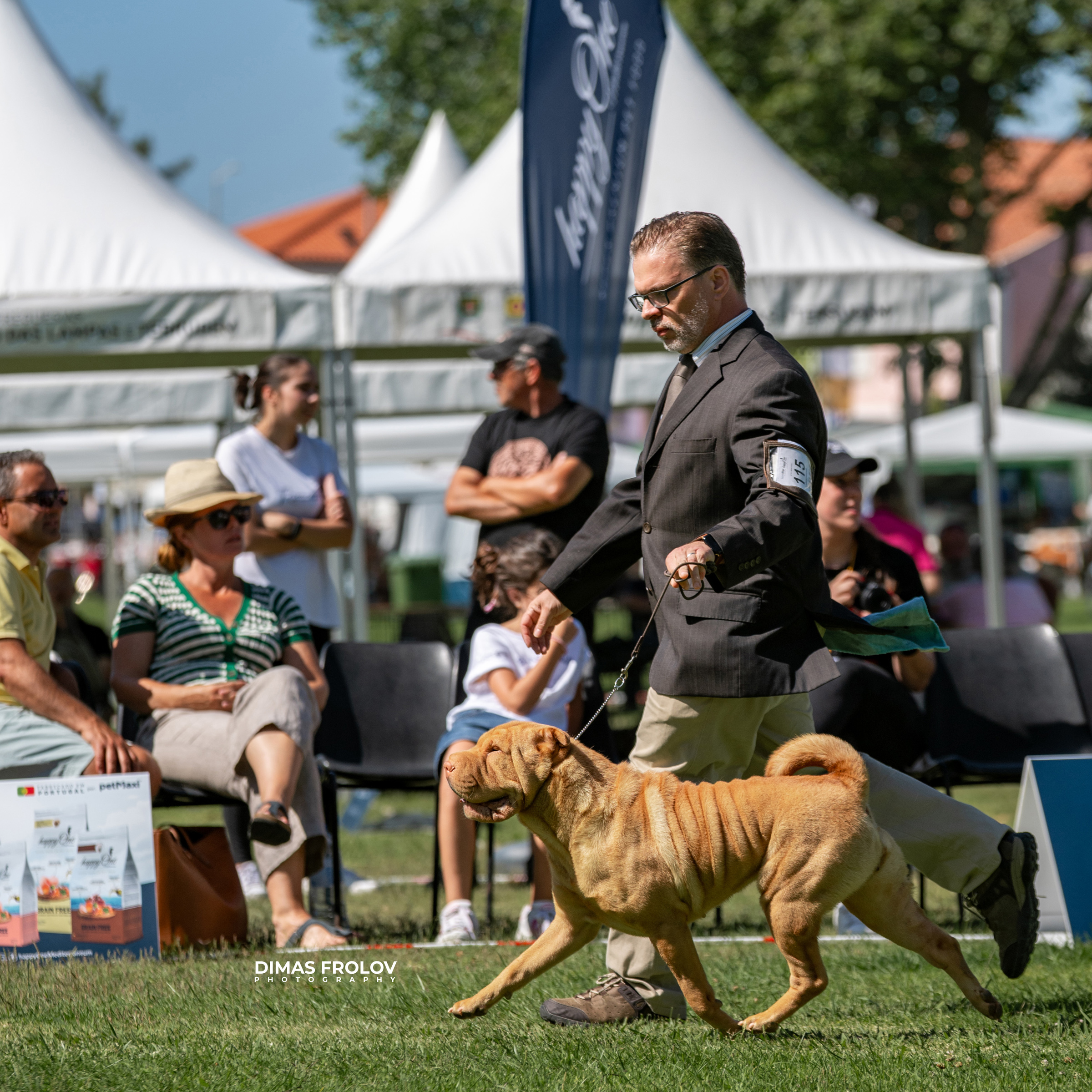 Dog Photographer in Lisbon – 2025 Sintra Dog Shows. Photo 130130 (2025-08-08 21:38:43)