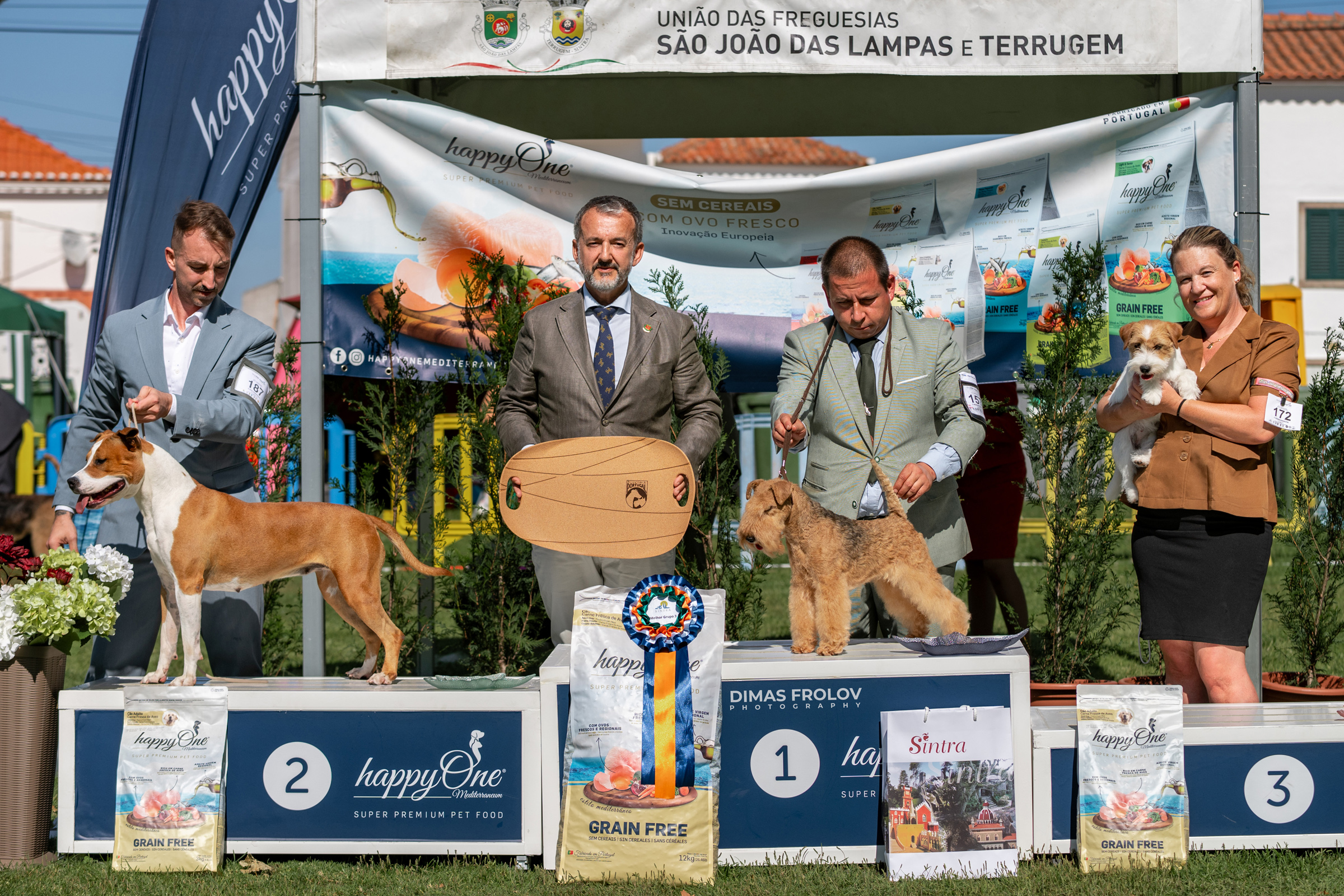 Dog Photographer in Lisbon – 2025 Sintra Dog Shows. Photo 130189 (2025-08-08 21:39:06)