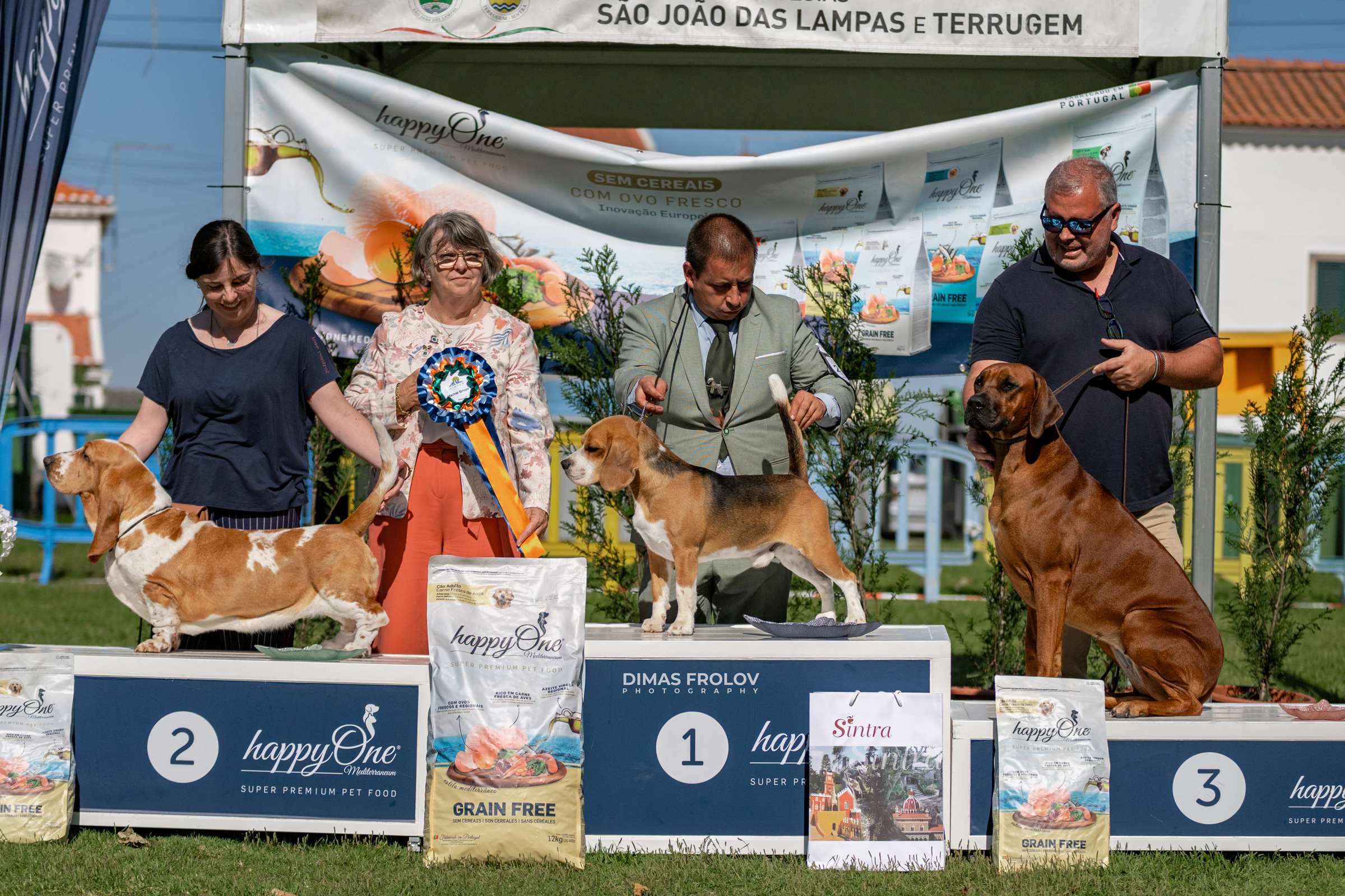 Dog Photographer in Lisbon – 2025 Sintra Dog Shows. Photo 130182 (2025-08-08 21:39:02)