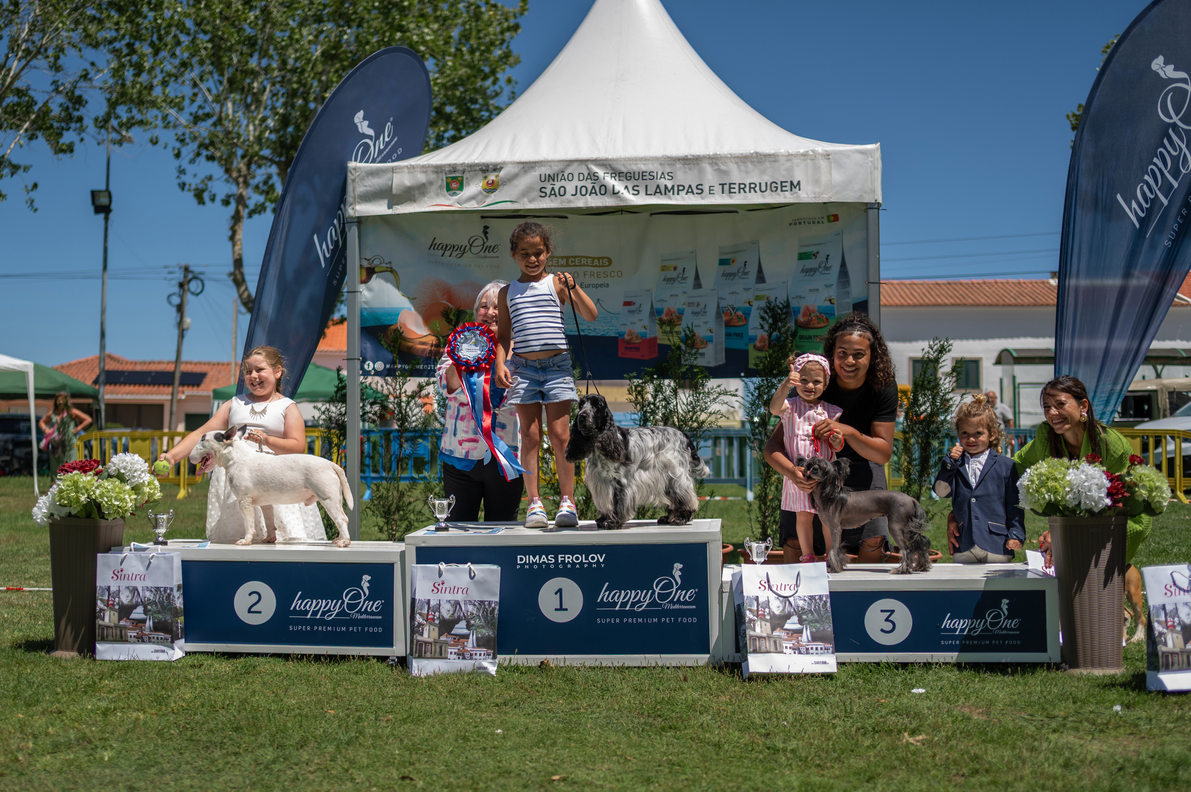 Dog Photographer in Lisbon – 2025 Sintra Dog Shows. Photo 130179 (2025-08-08 21:39:01)