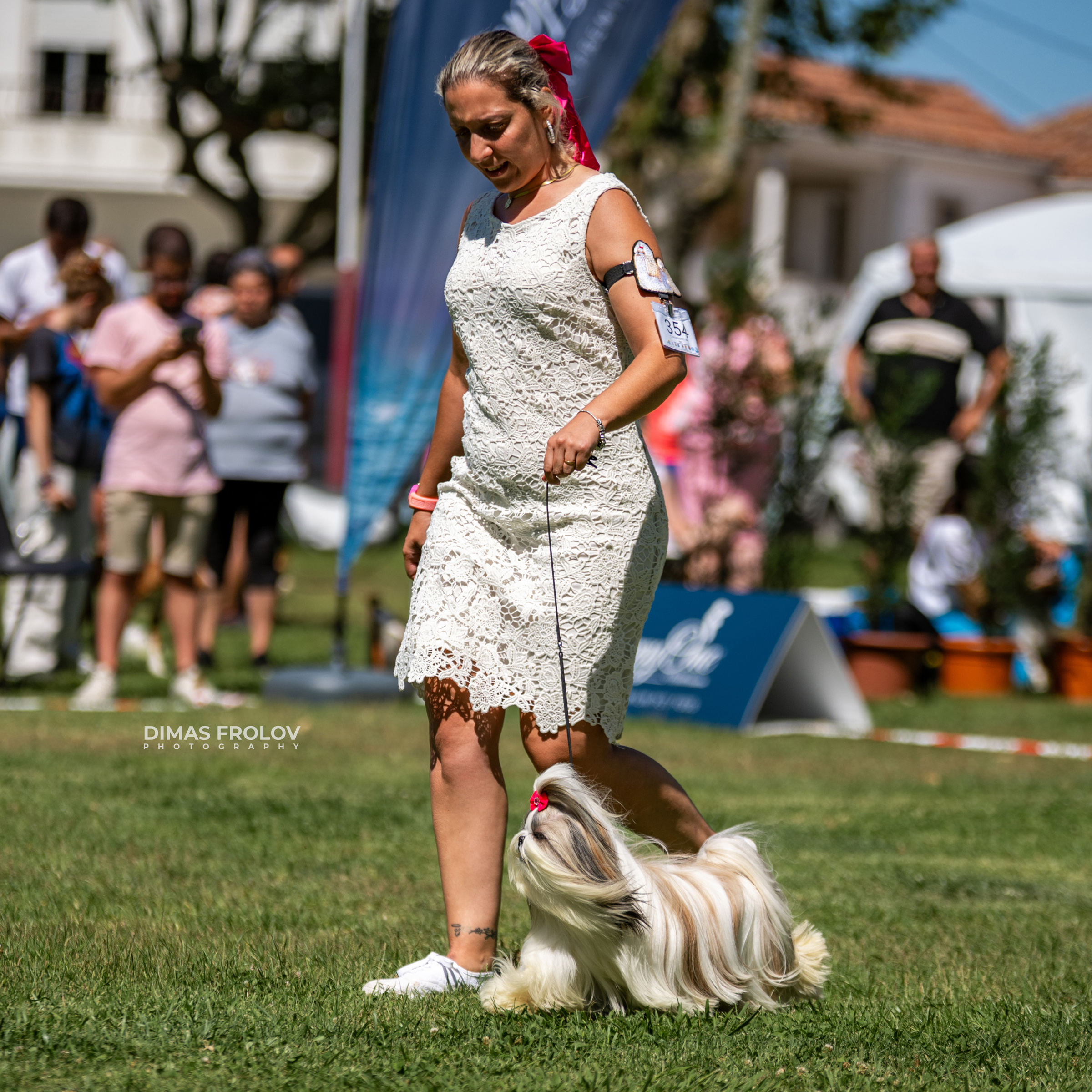 Dog Photographer in Lisbon – 2025 Sintra Dog Shows. Photo 130135 (2025-08-08 21:38:44)