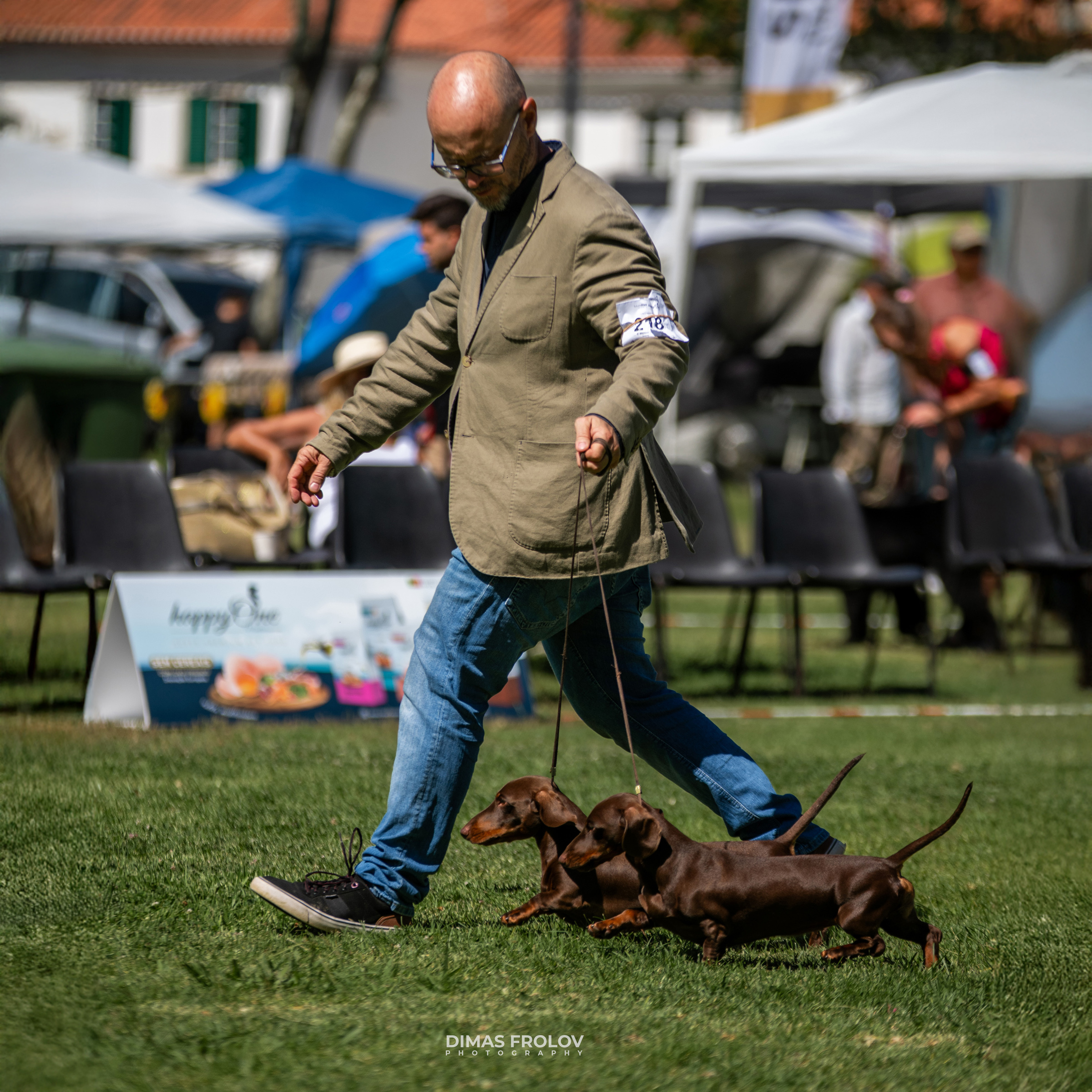 Dog Photographer in Lisbon – 2025 Sintra Dog Shows. Photo 130112 (2025-08-08 21:38:37)