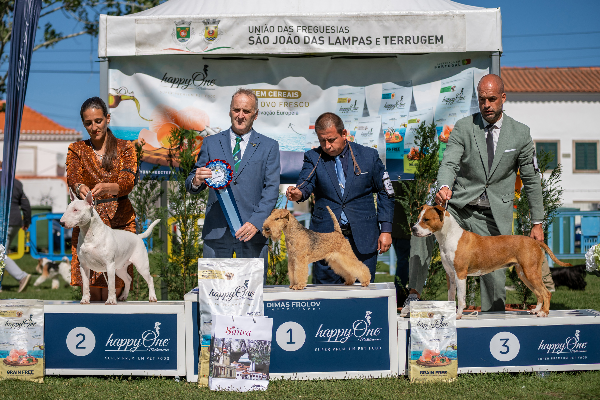 Dog Photographer in Lisbon – 2025 Sintra Dog Shows. Photo 130184 (2025-08-08 21:39:03)