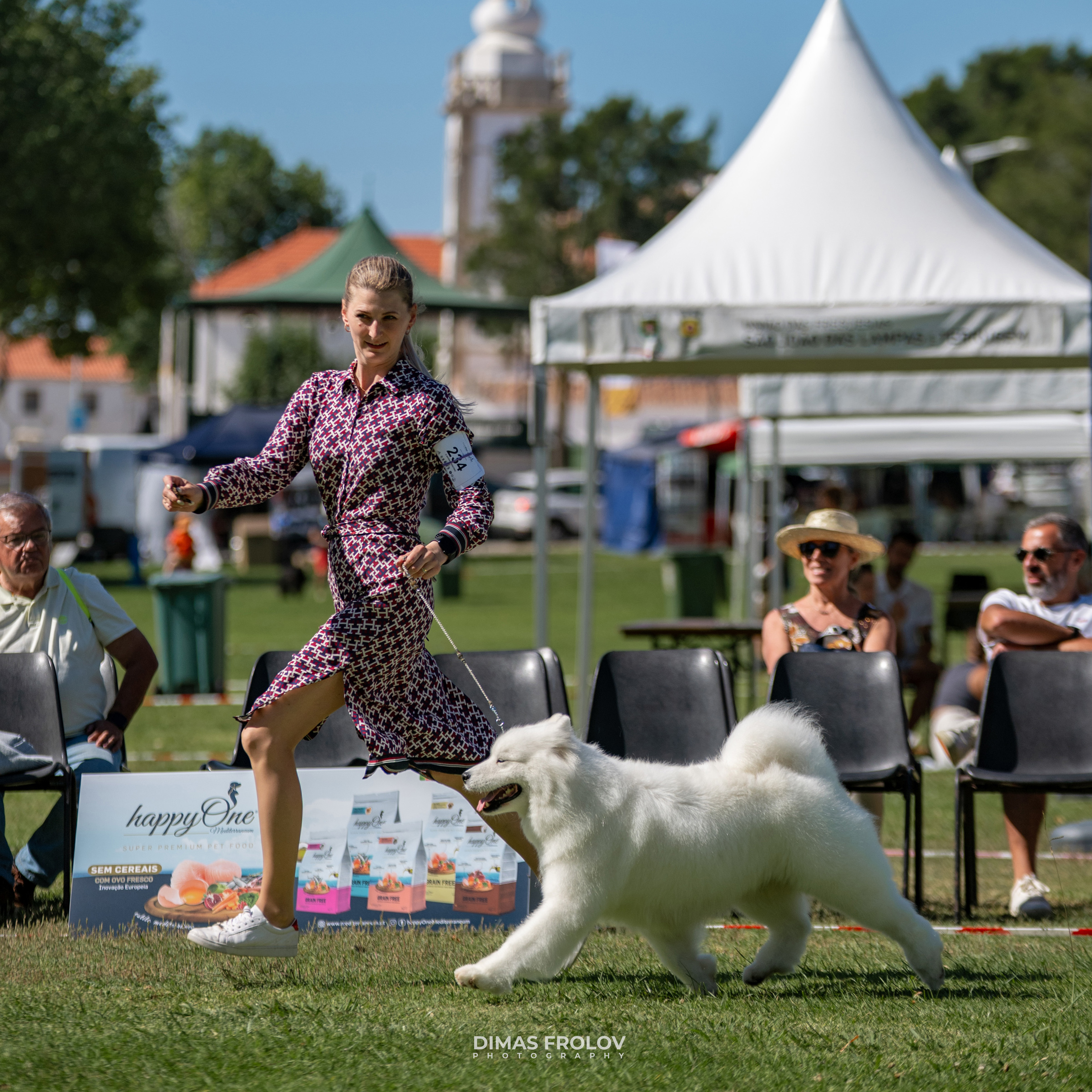 Dog Photographer in Lisbon – 2025 Sintra Dog Shows. Photo 130185 (2025-08-08 21:39:03)