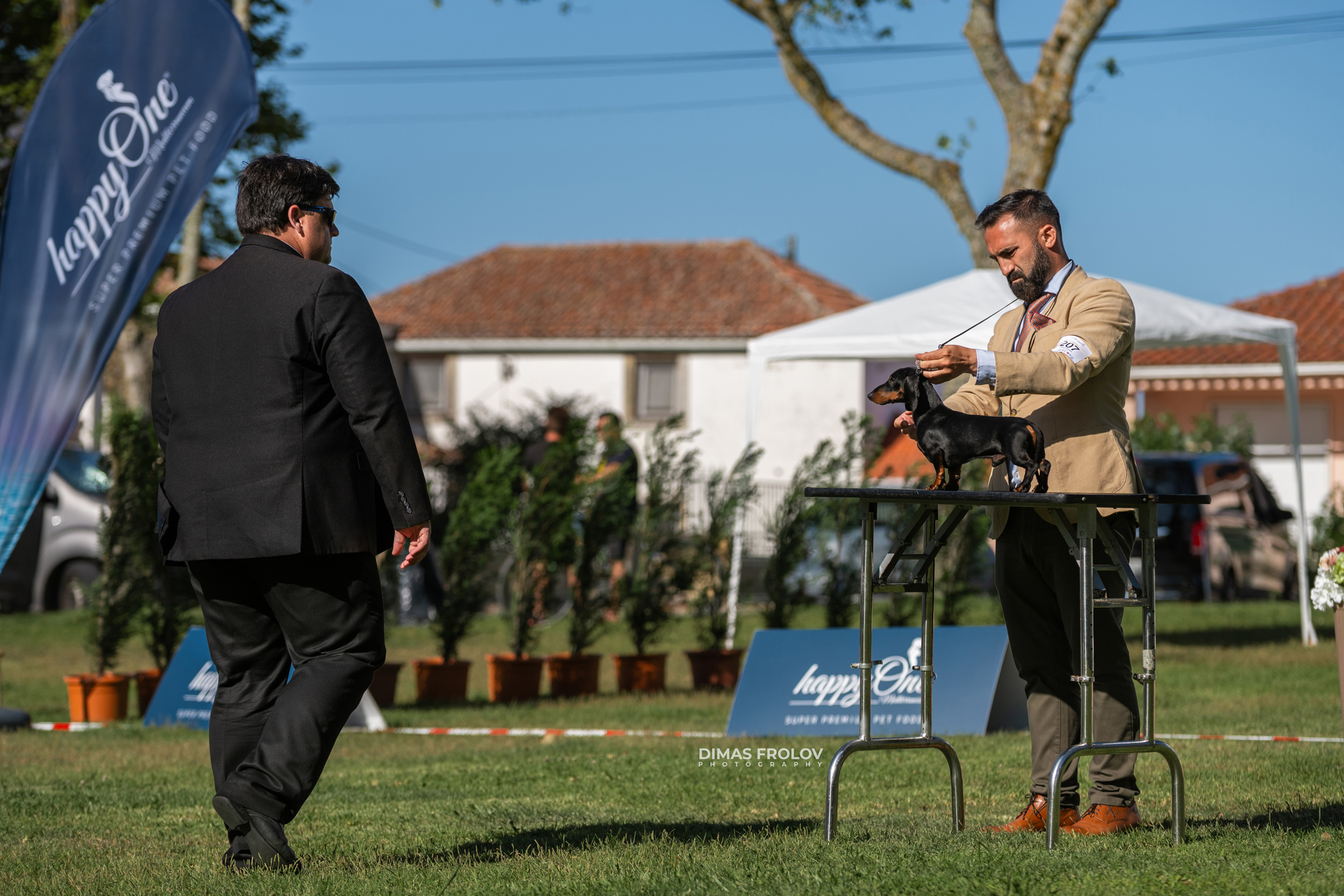 Dog Photographer in Lisbon – 2025 Sintra Dog Shows. Photo 130111 (2025-08-08 21:38:37)