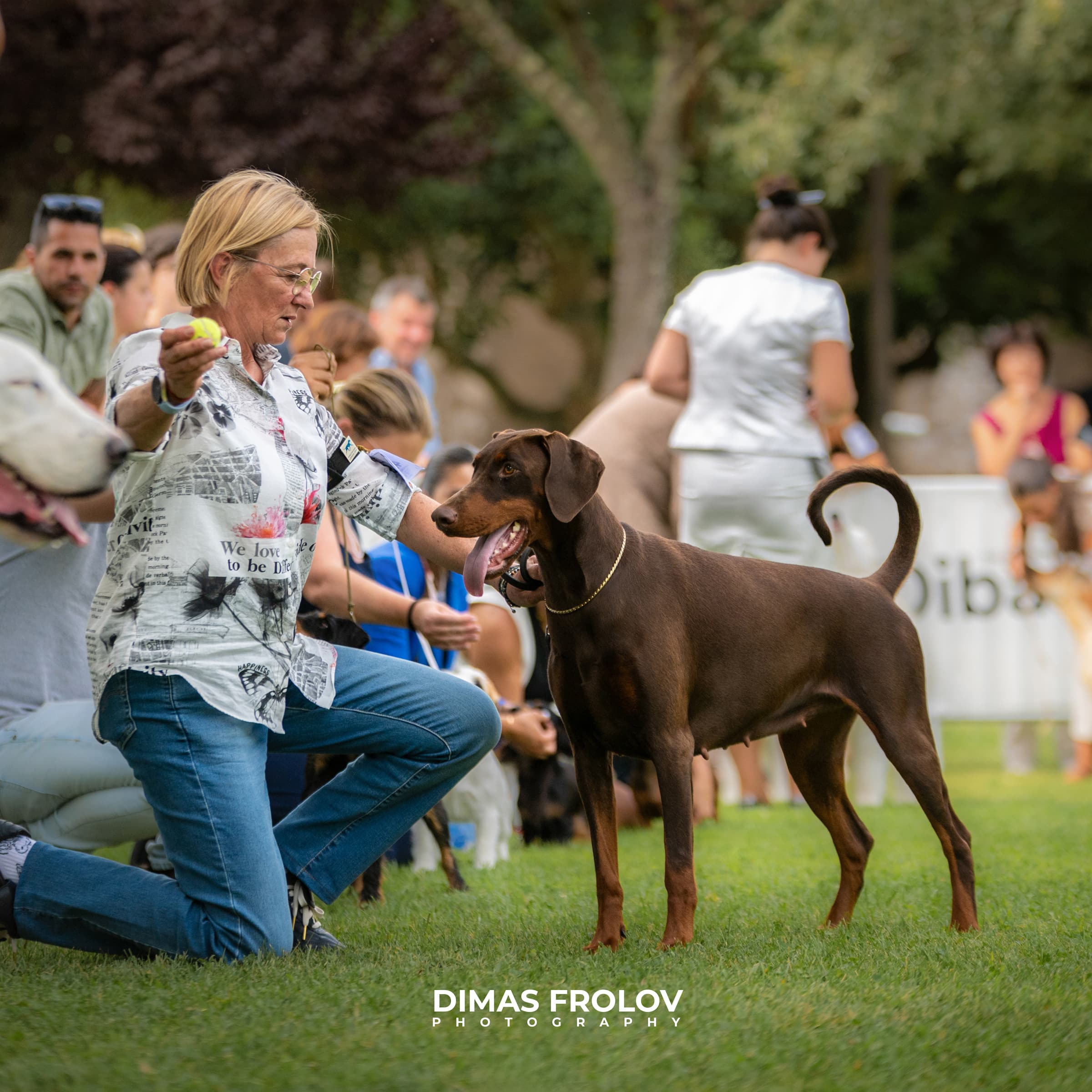 dogs Alentejo Dog Show. photo 130366 (2025-09-12 11:39:29)