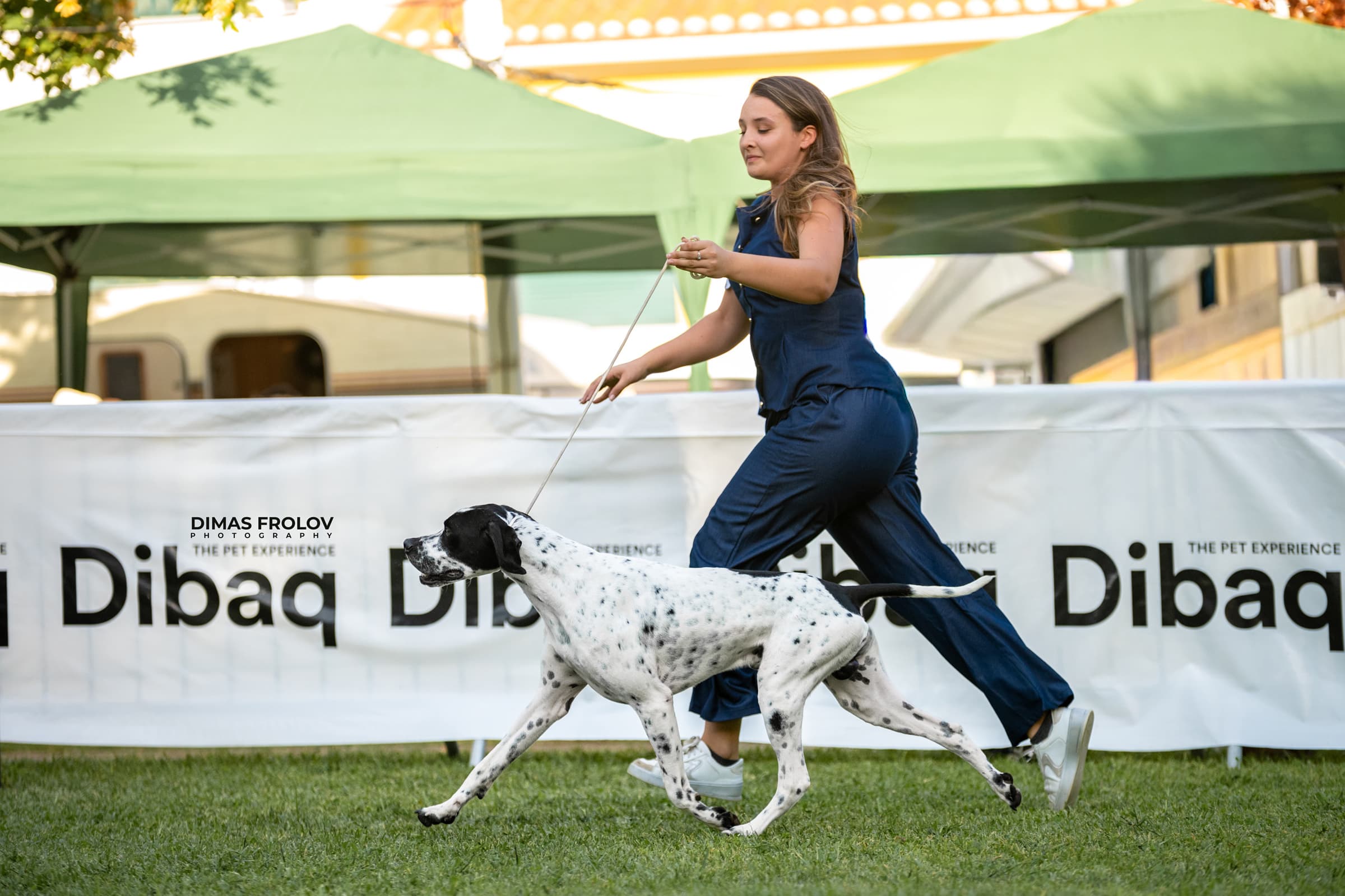 dogs Alentejo Dog Show. photo 130320 (2025-09-12 11:39:26)