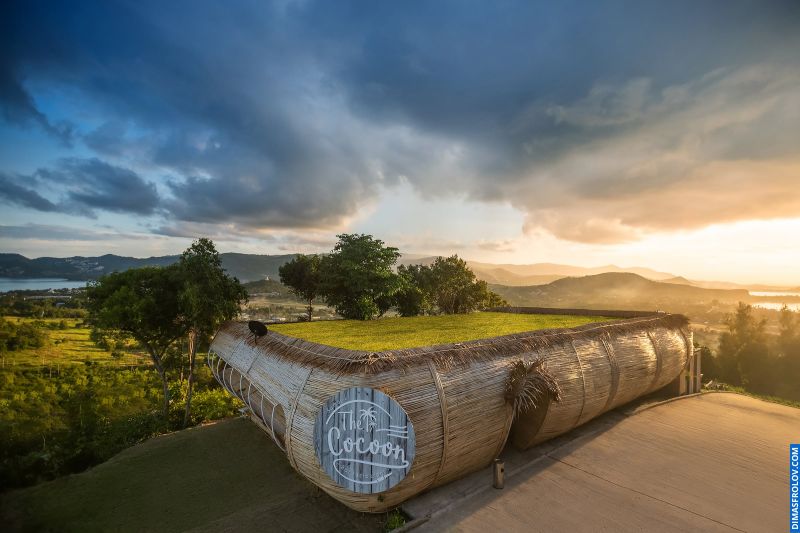 The Cocoon