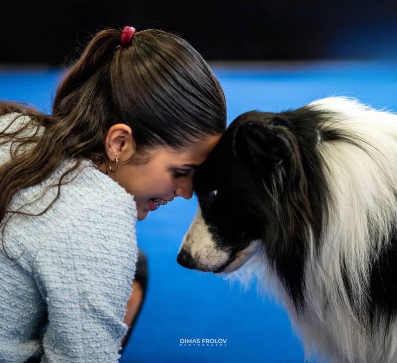 Aveiro Dog Show 2025. Dog shows and personal photo shoots