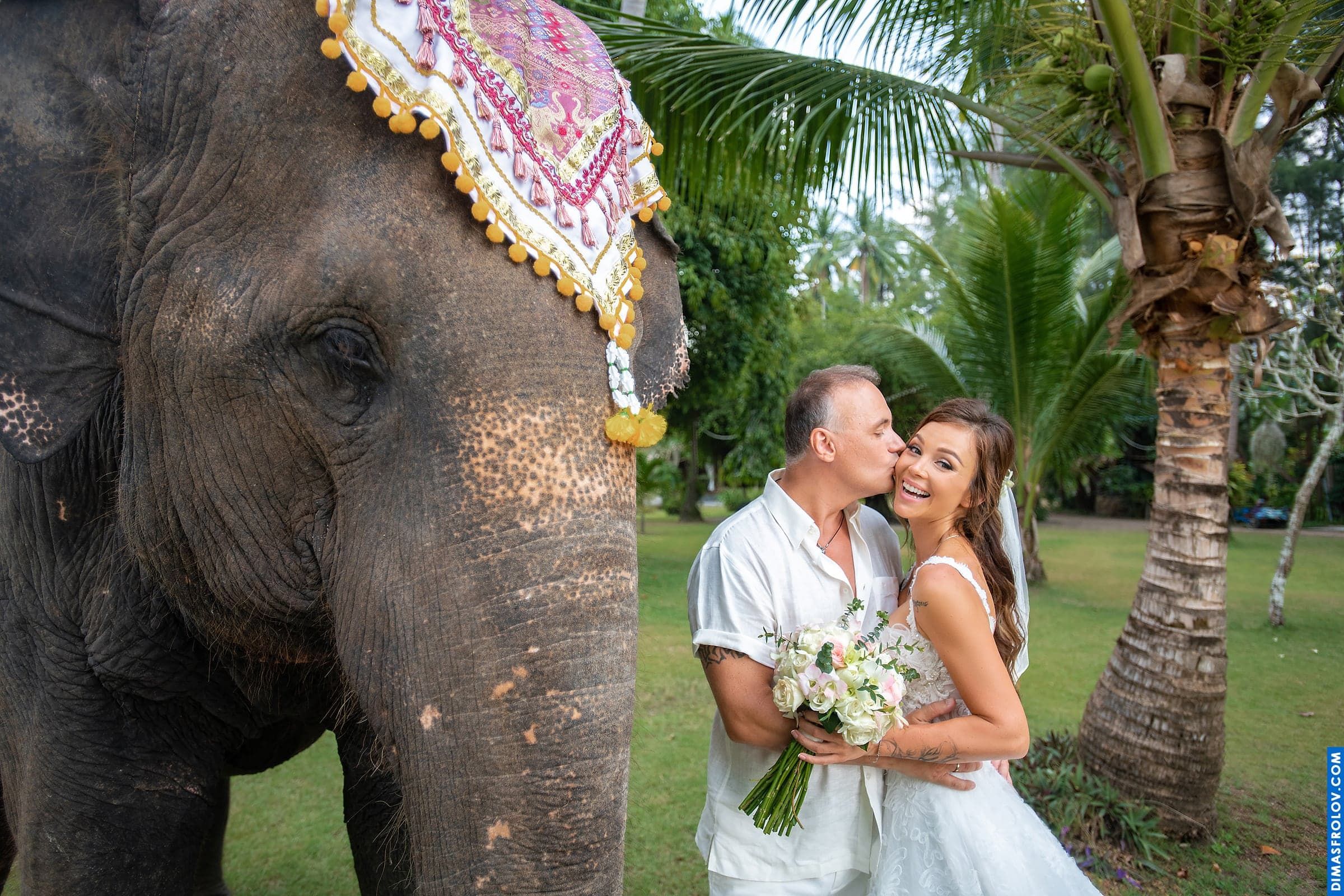 Photo shoot with an elephant on Koh Samui. photographer Dimas Frolov. photo1732