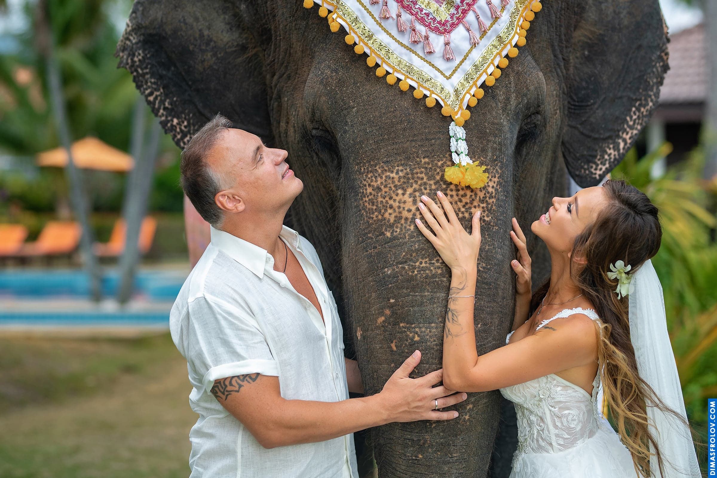 Photo shoot with an elephant on Koh Samui. photographer Dimas Frolov. photo1734