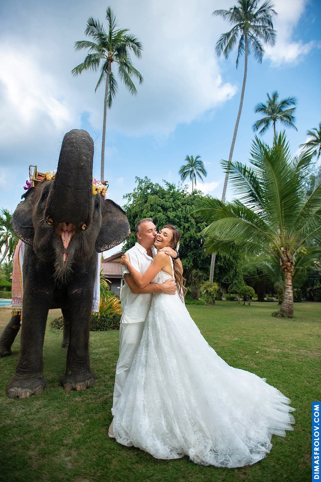 Photo shoot with an elephant on Koh Samui. photographer Dimas Frolov. photo1735