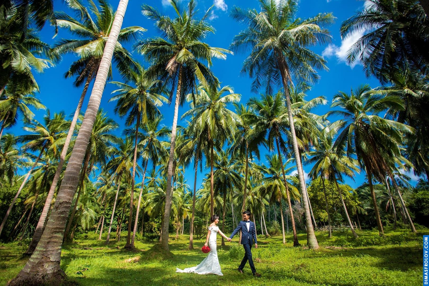Coconut forest as location for photo shoot. photographer Dimas Frolov. photo1377