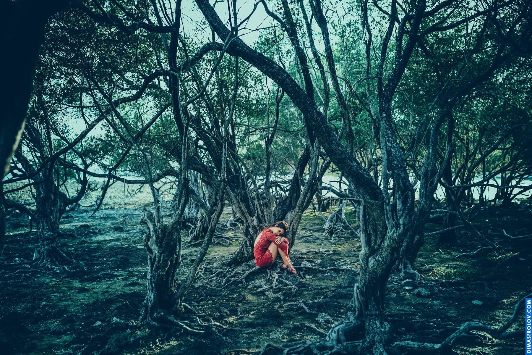 Сухий ліс з закрученими коріннями. Незвичайна локація зйомок на Самуї. фотограф Дмитро Фролов. фото1425