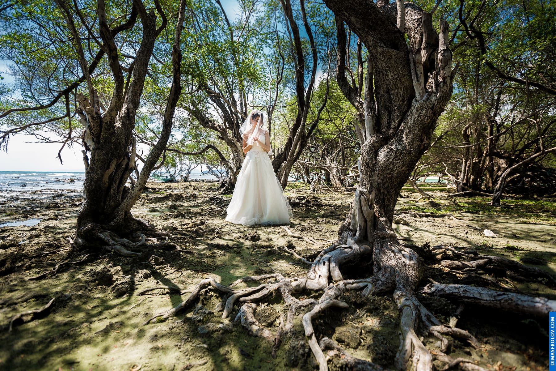 Samui shooting location: Dry forest with twisted roots. photographer Dimas Frolov. photo1416