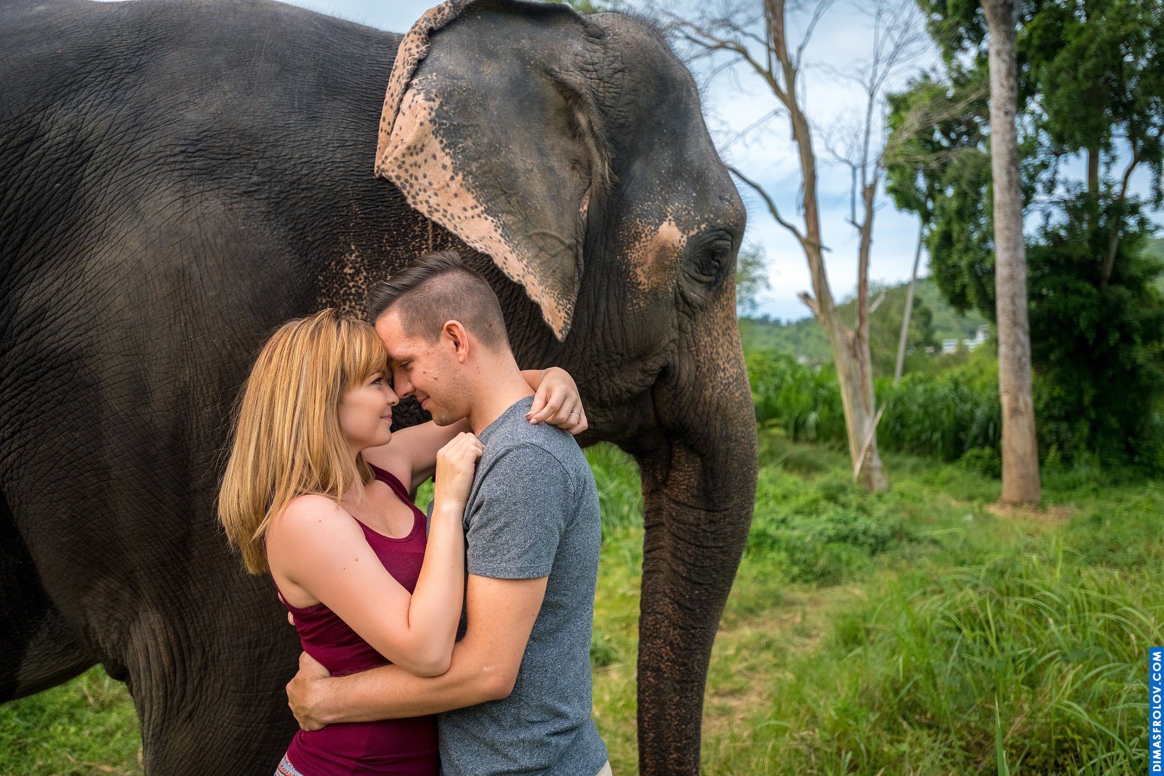 Photo shoot with an elephant on Koh Samui. photographer Dimas Frolov. photo1738