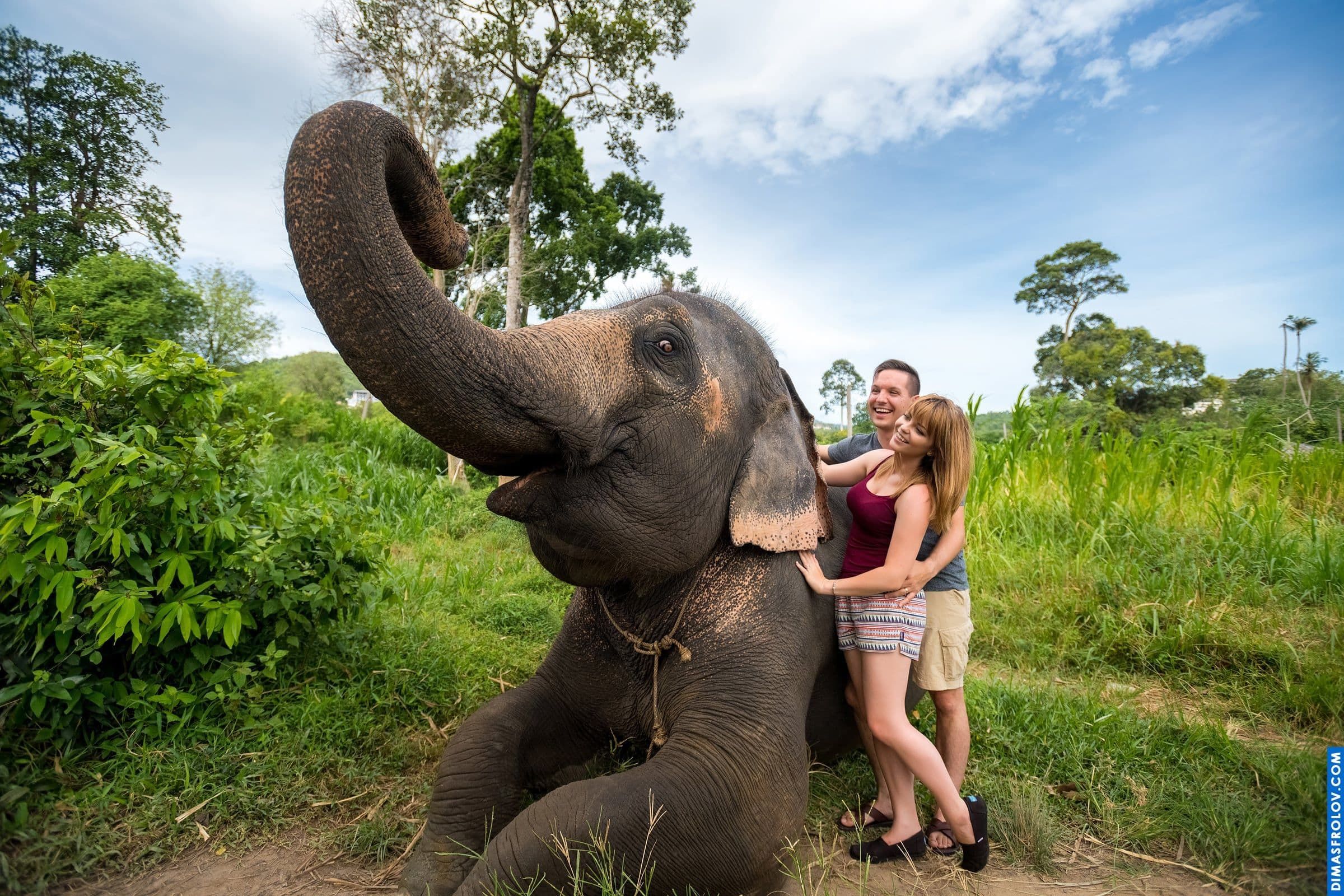 Photo shoot with an elephant on Koh Samui. photographer Dimas Frolov. photo1739