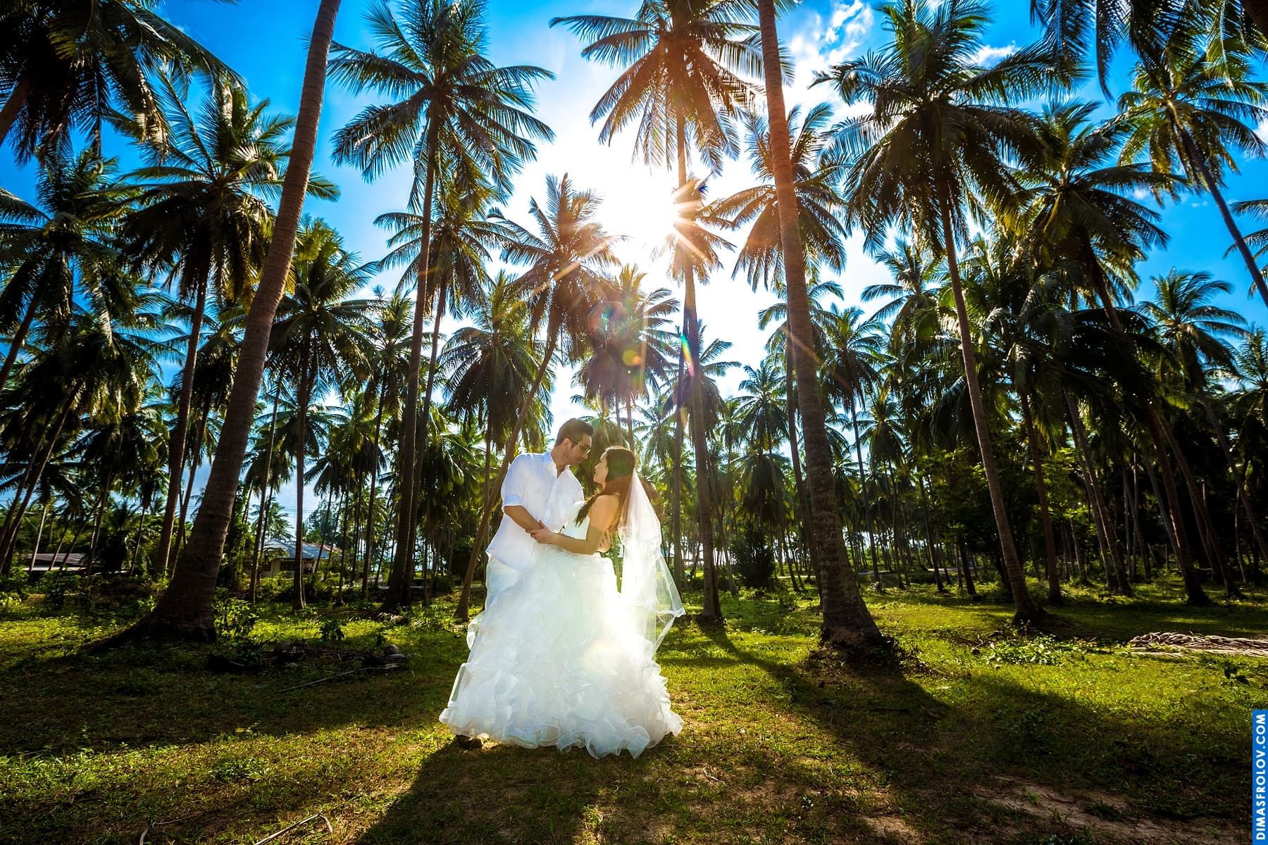 Coconut forest as location for photo shoot. photographer Dimas Frolov. photo1408
