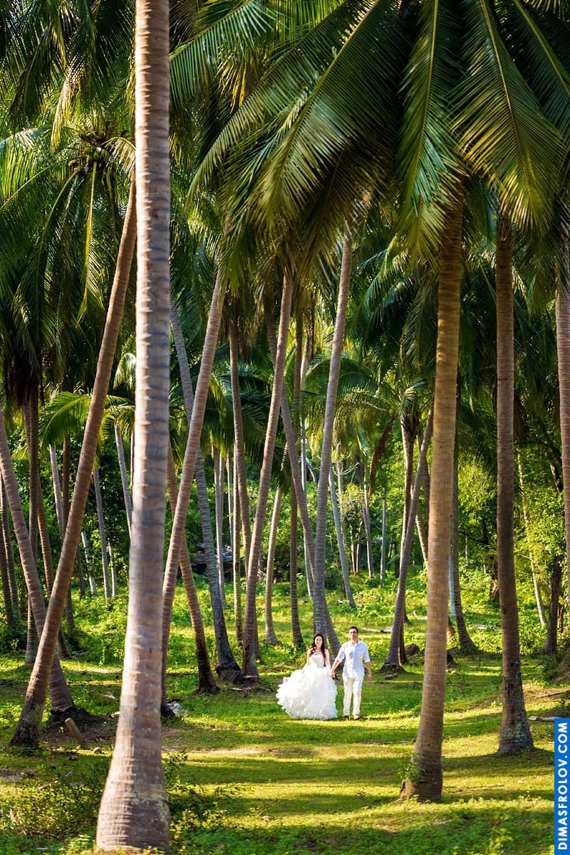 Coconut forest as location for photo shoot. photographer Dimas Frolov. photo1409