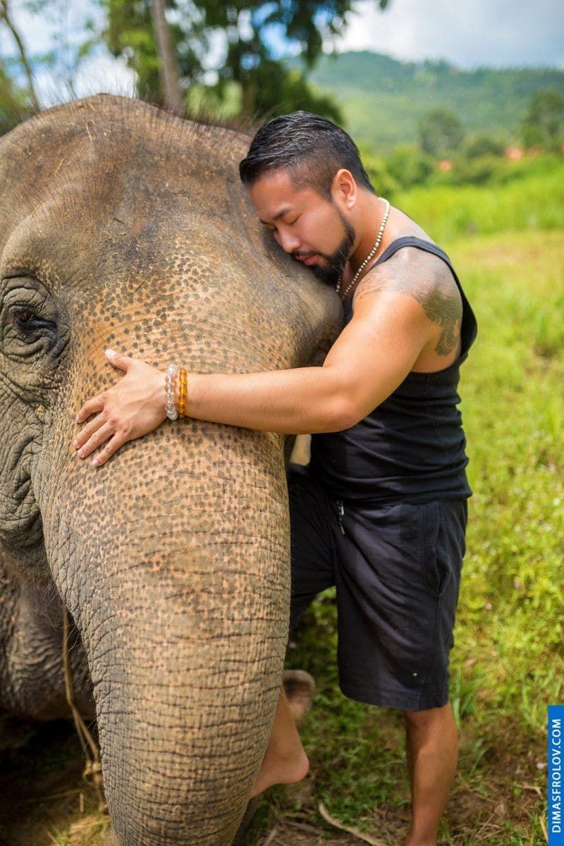 Photo shoot with an elephant on Koh Samui. photographer Dimas Frolov. photo1741