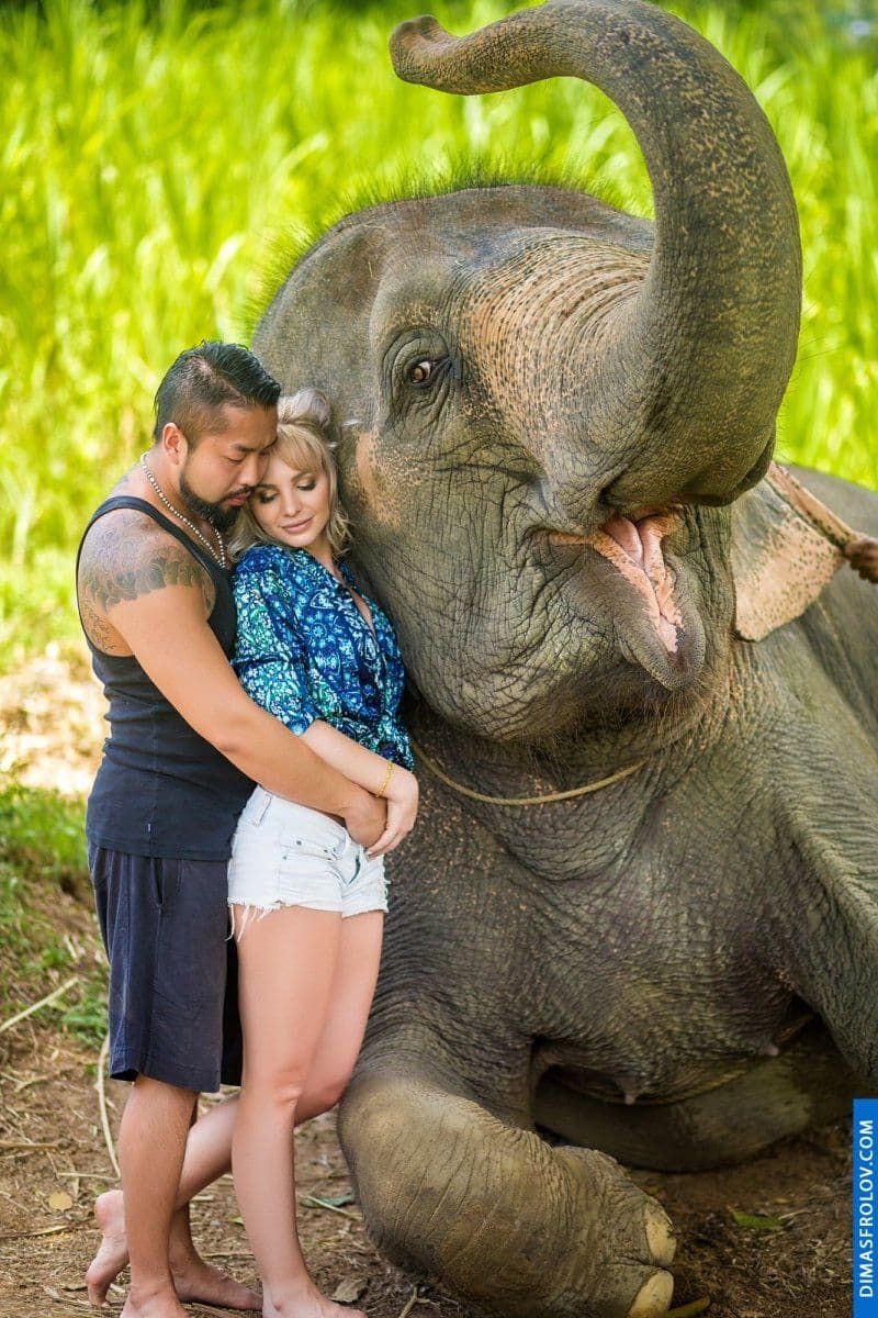 Photo shoot with an elephant on Koh Samui. photographer Dimas Frolov. photo1742
