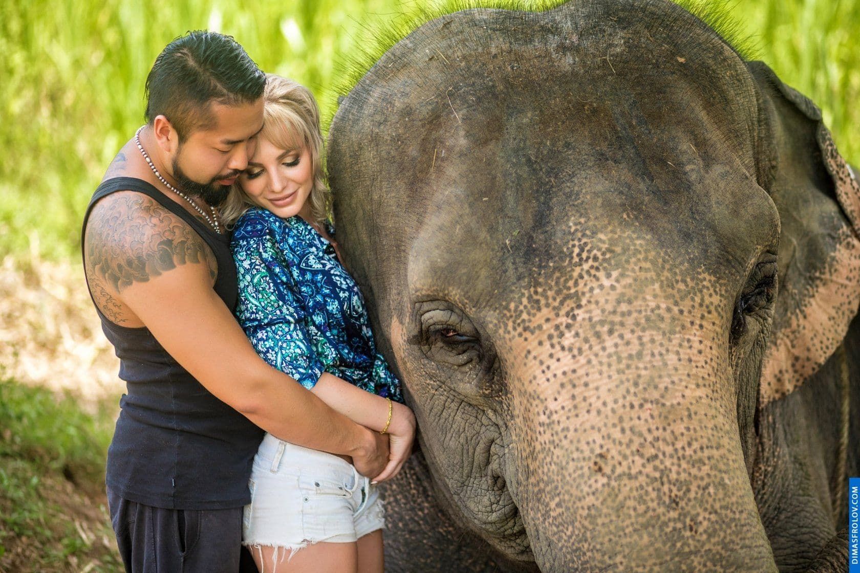 Photo shoot with an elephant on Koh Samui. photographer Dimas Frolov. photo1743