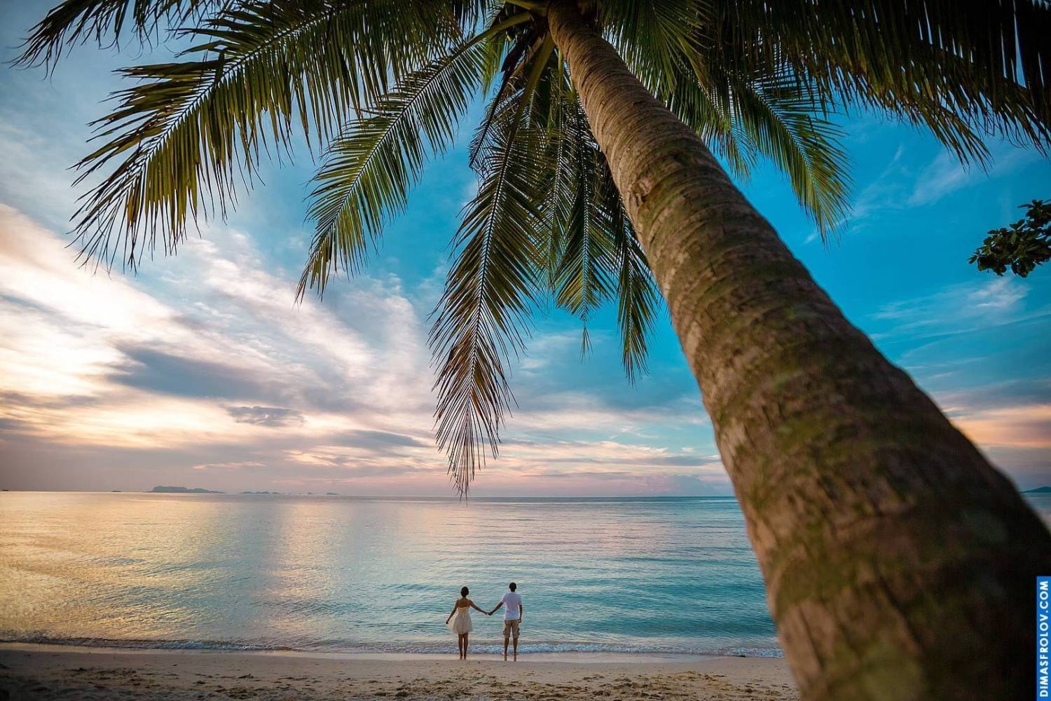 Holding hands on the beach under leaning palm — sunset wedding story