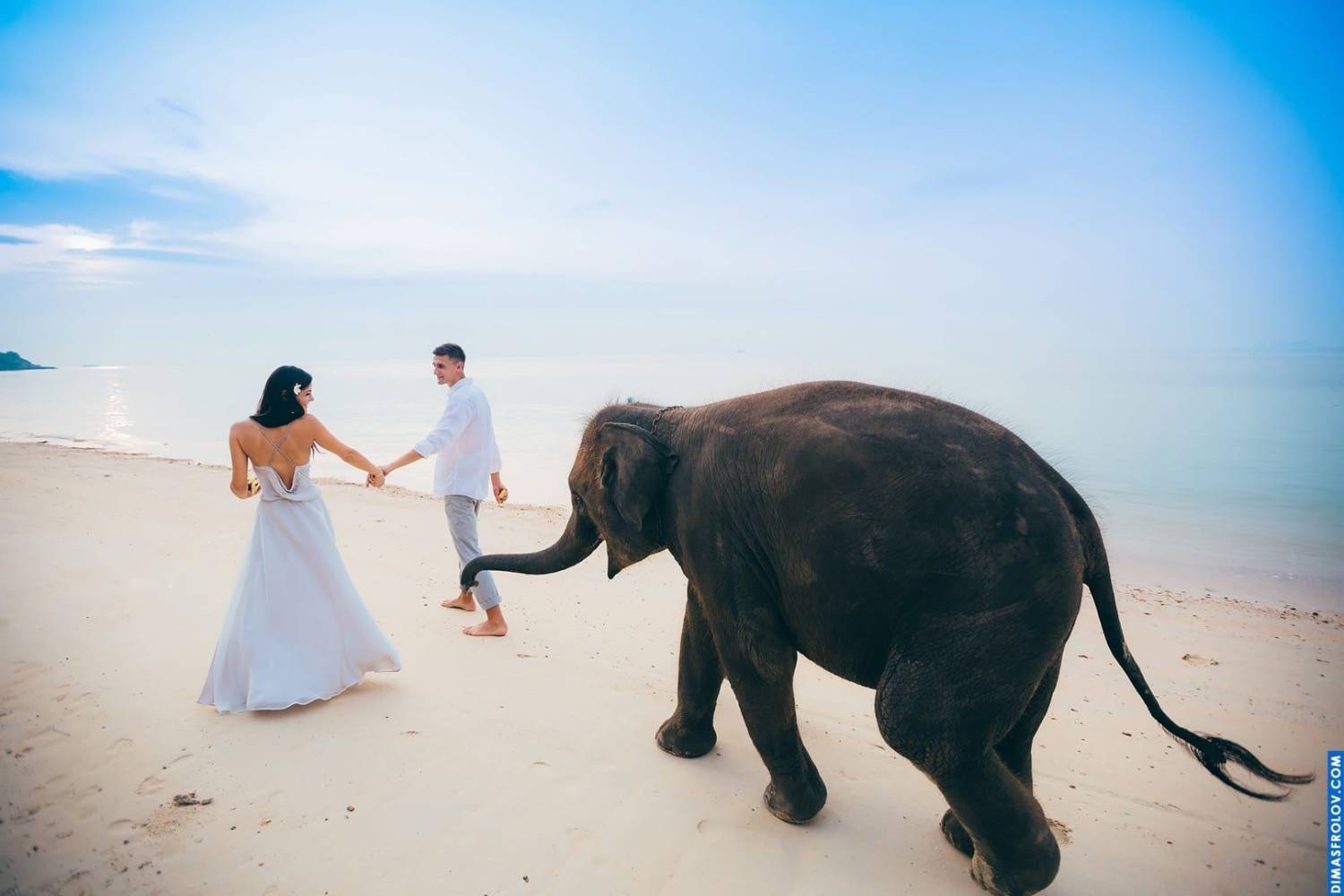 Wedding photoshoot on the beach with elephant, exotic and romantic vibe