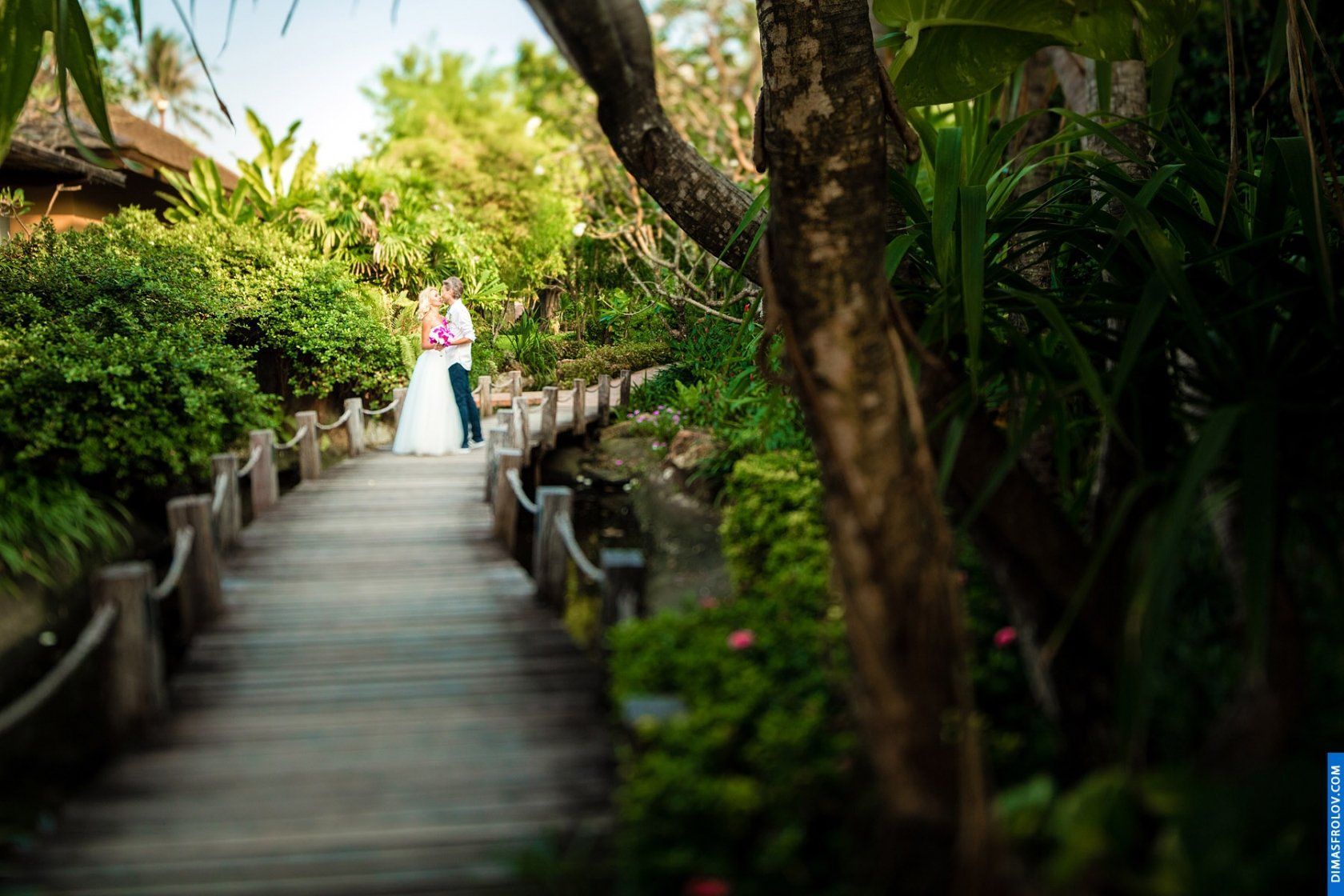 Destination Wedding at Deva Beach Resort on Koh Samui. Photo 3888 (2023-05-04 03:44:35)
