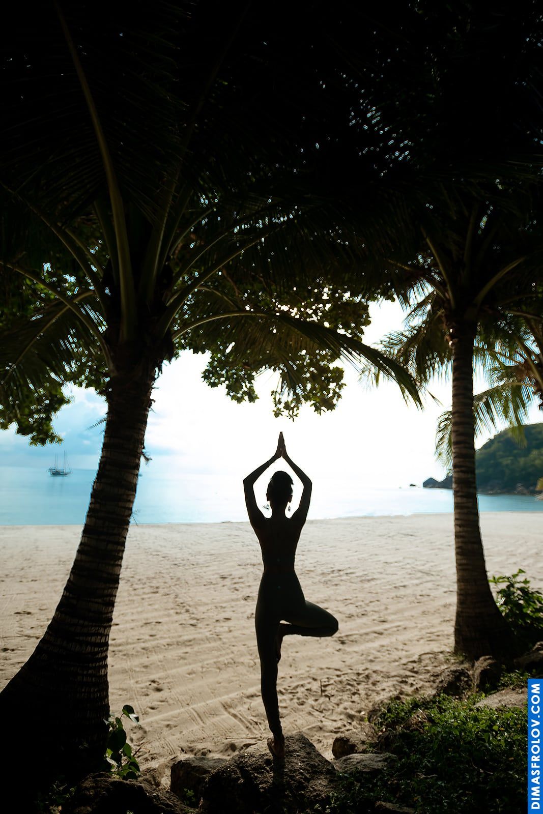 Radiance of Yoga photo shooting on Koh Samui - Diana Azavedo. Photo 72470 (2023-05-04 04:01:24)